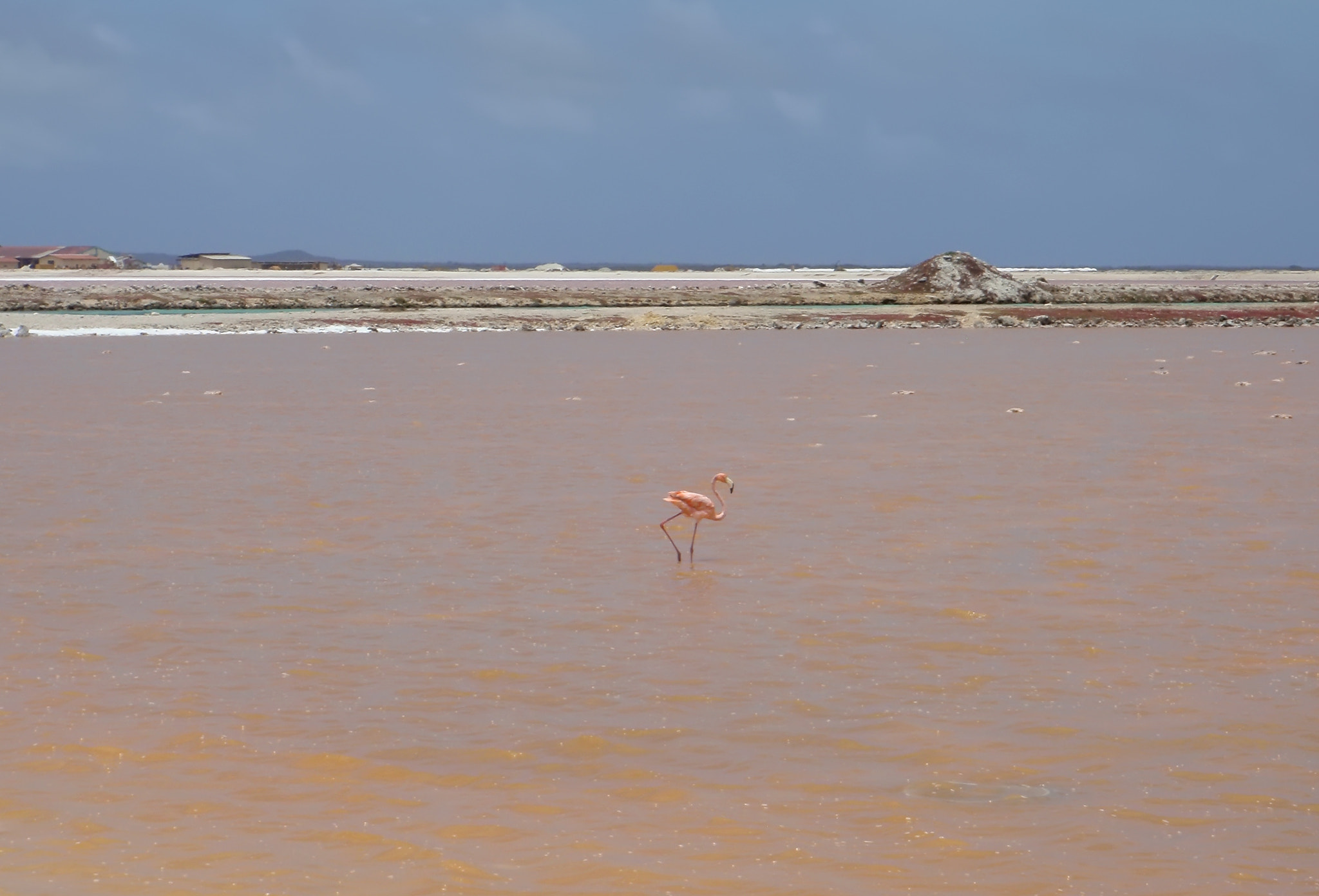 Olympus u1030SW,S1030SW sample photo. Rose salt mining lake caribbean bonaire island photography