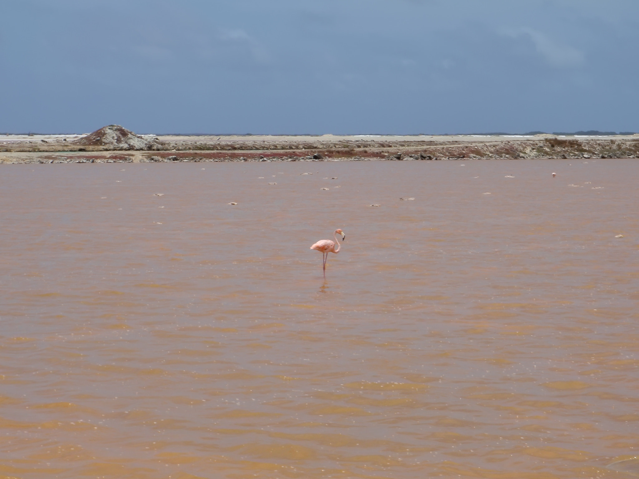 Olympus u1030SW,S1030SW sample photo. Rose salt mining lake caribbean bonaire island photography