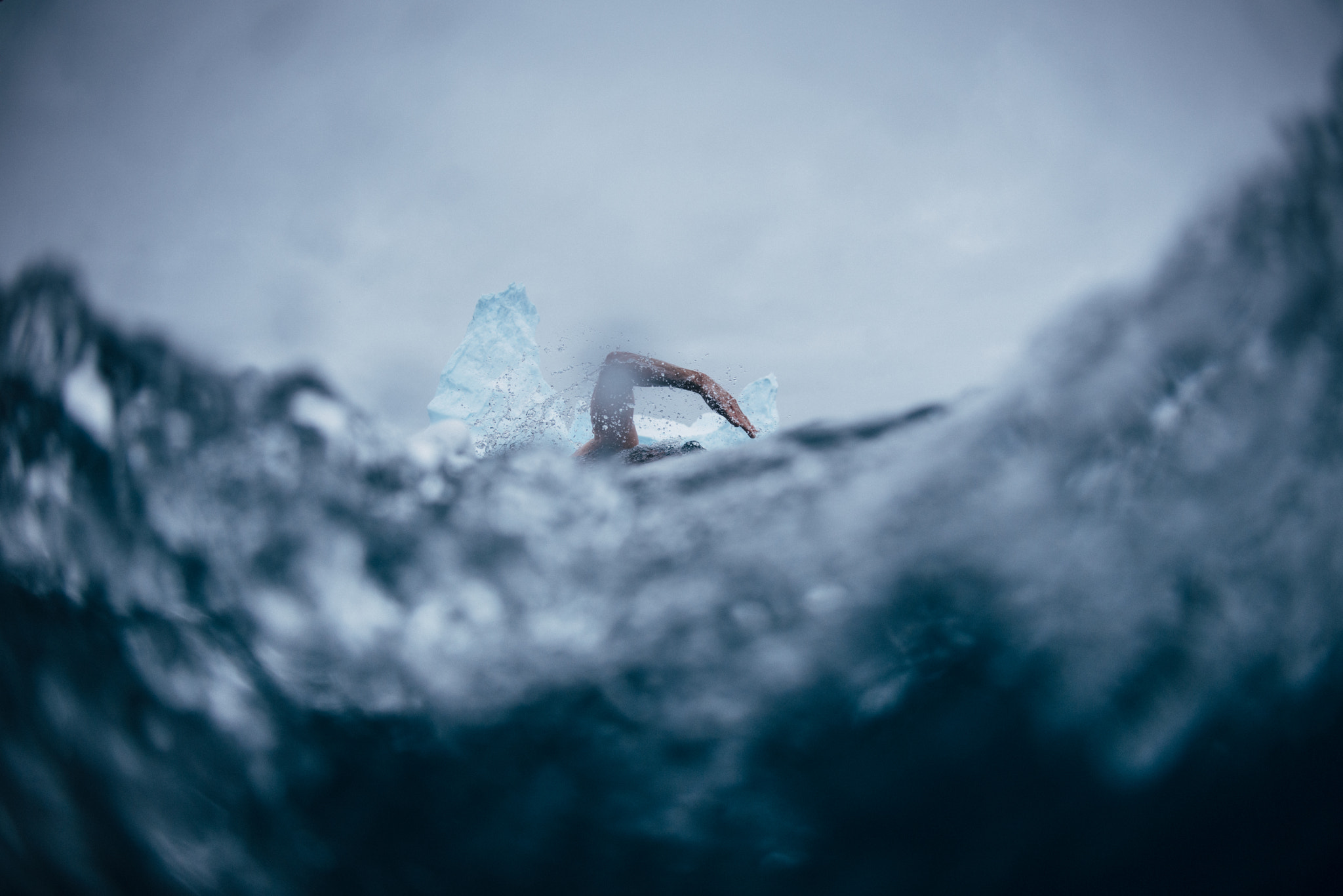 Nikon D800 + Nikon AF Fisheye-Nikkor 16mm F2.8D sample photo. Swimming between icebergs photography