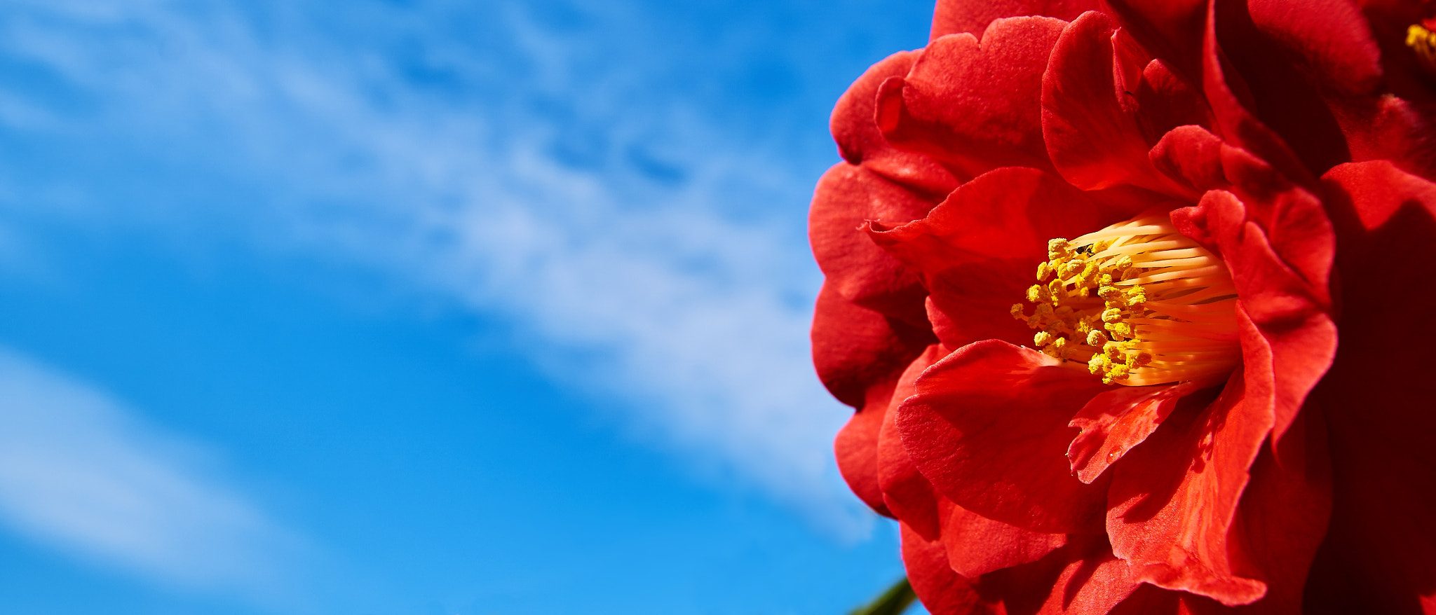 Sony ILCA-77M2 + 10-20mm F3.5 sample photo. Looking forward! photography