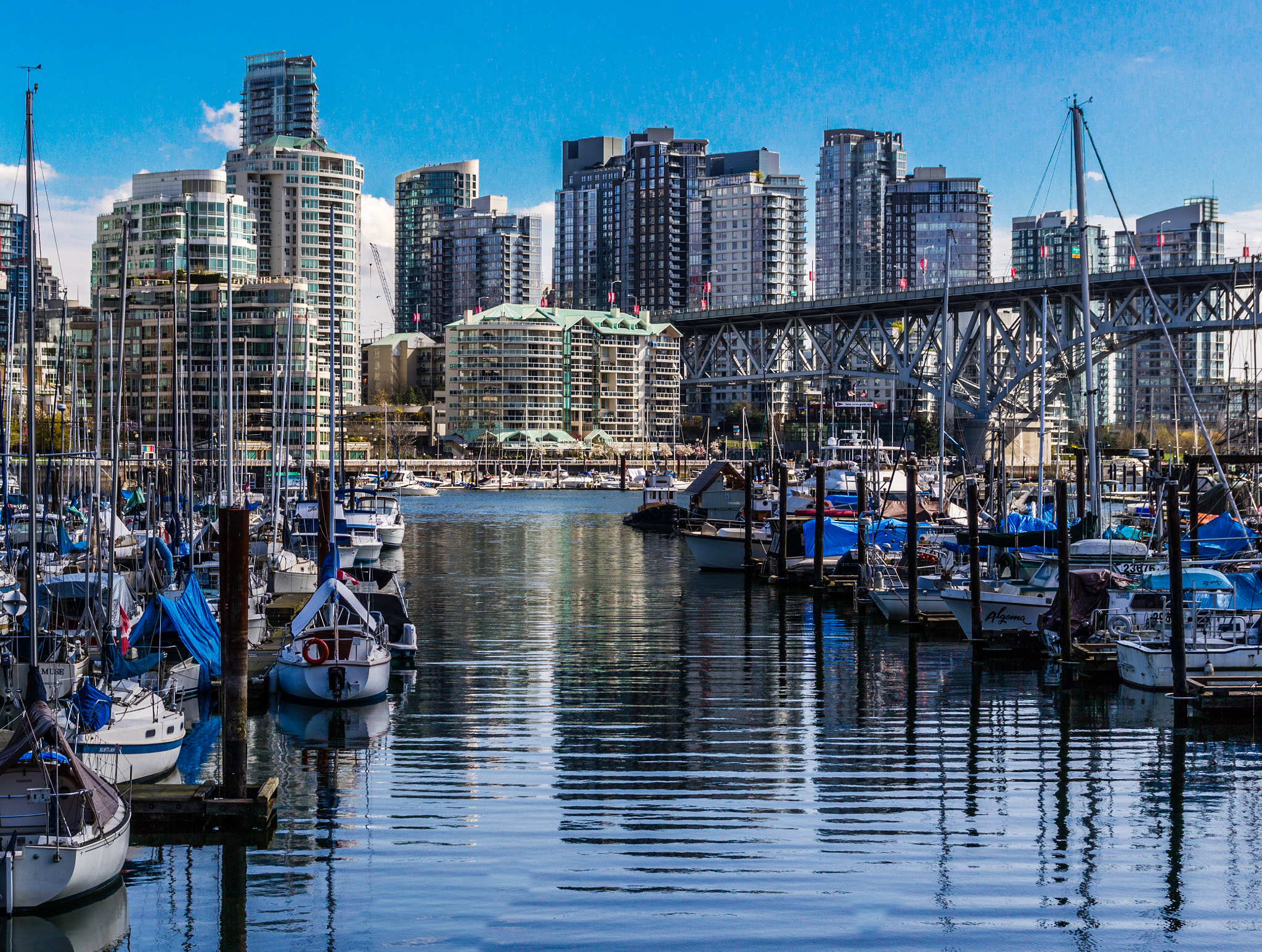 Sigma 18-50mm f/2.8 Macro sample photo. Vancouver photography