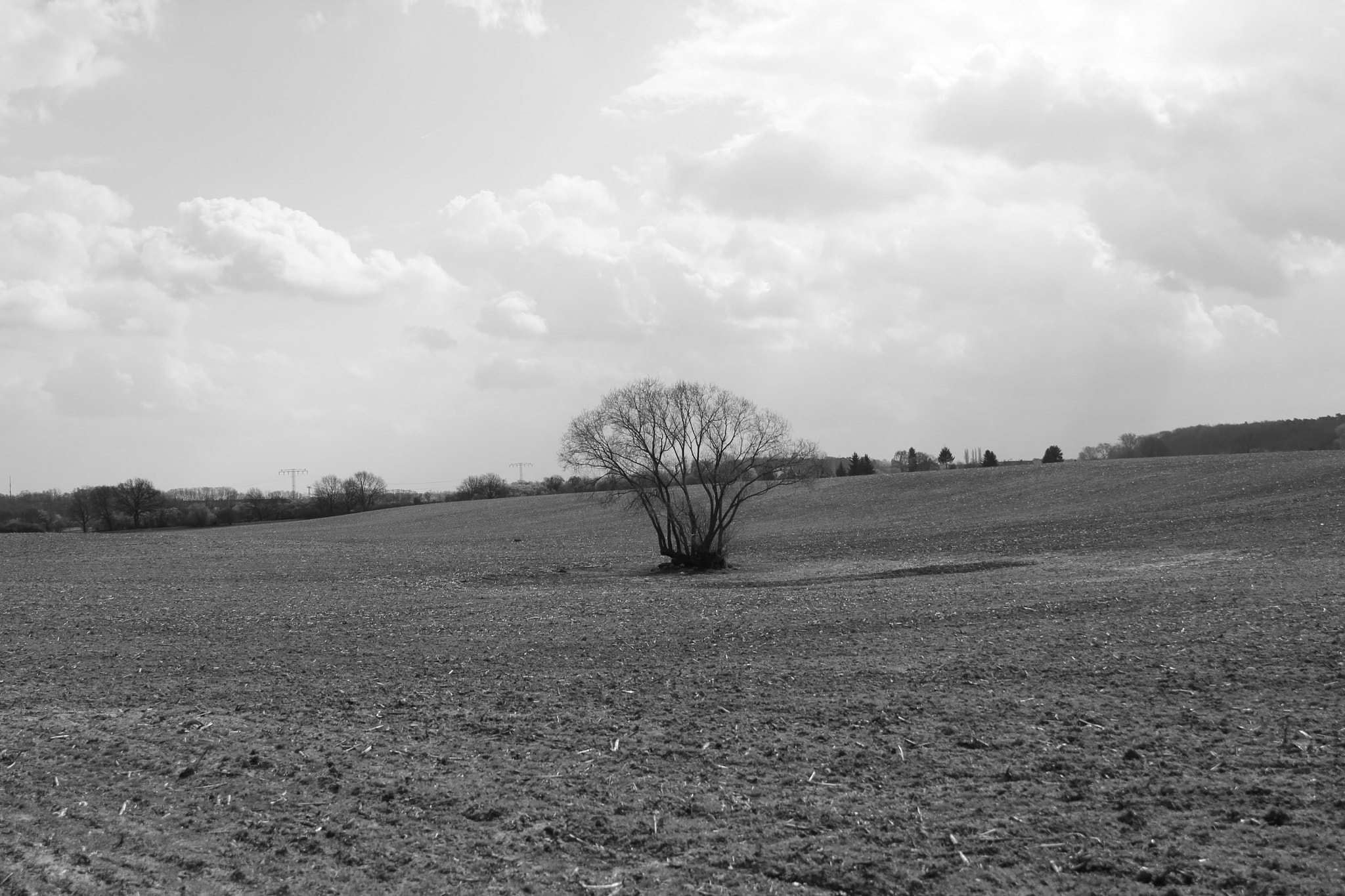 Canon EF 24-70mm F2.8L II USM sample photo