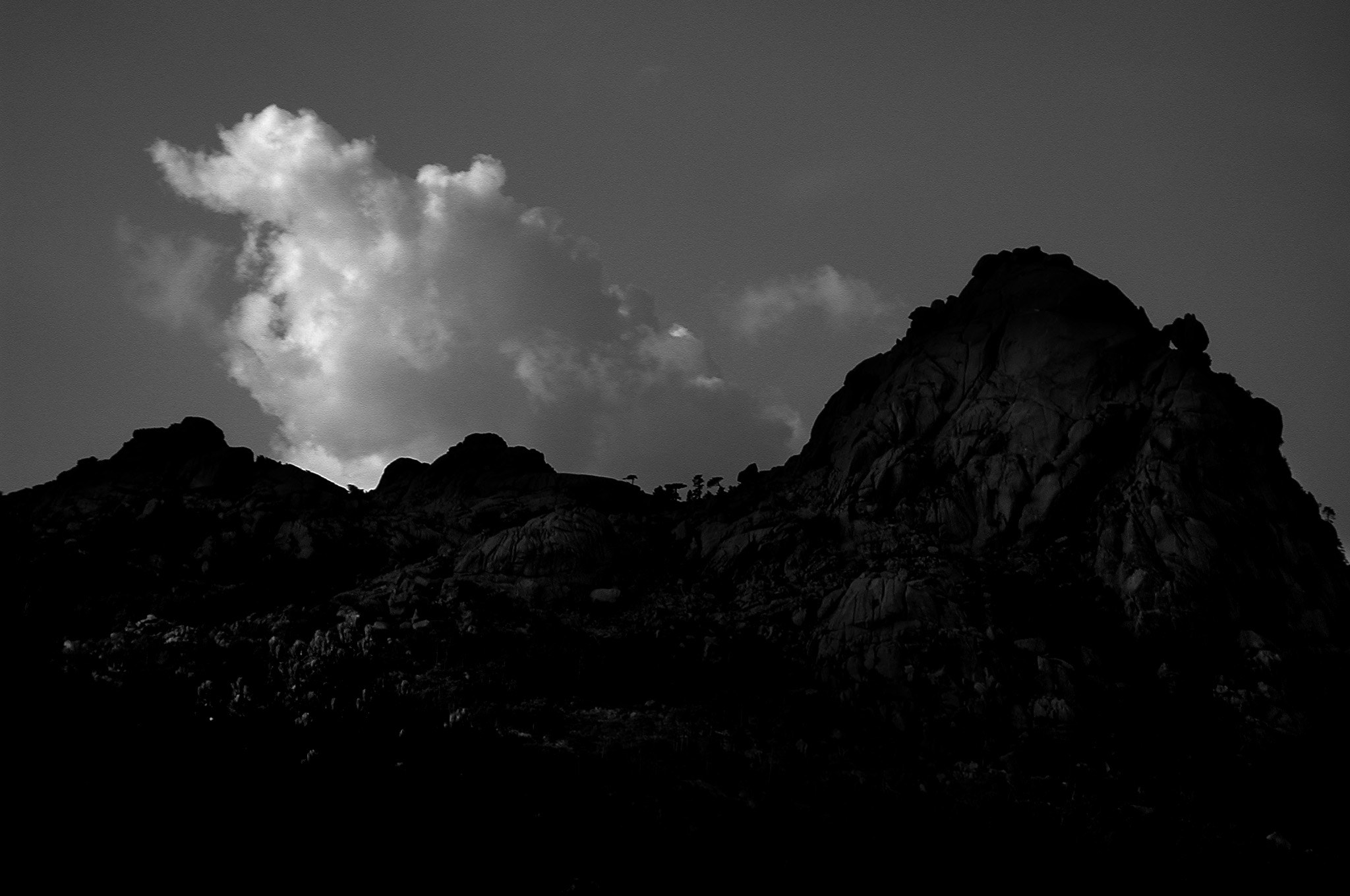 Nikon E990 sample photo. Montagne-corse photography