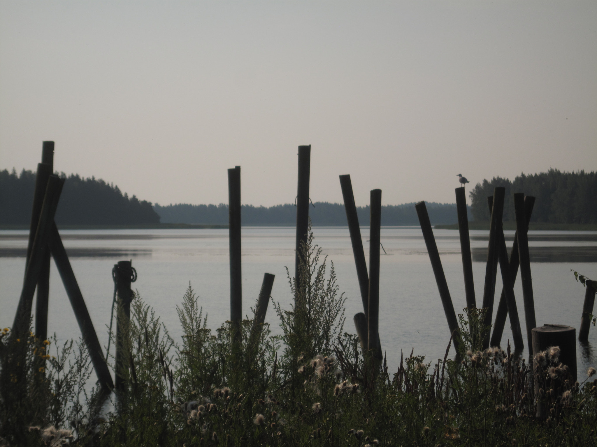 Canon PowerShot SD990 IS (Digital IXUS 980 IS / IXY Digital 3000 IS) sample photo. Old dock.jpg photography