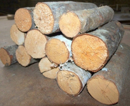 v2?sig=15535efb4cba8ea9fd4968400619b42b276114d71989212dad090a5d910f981c