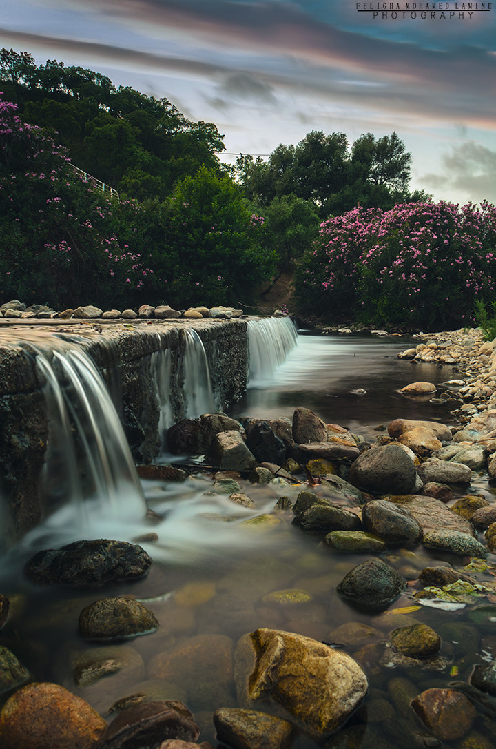Sigma 18-50mm F2.8-4.5 DC OS HSM sample photo. Valley of tamanart photography