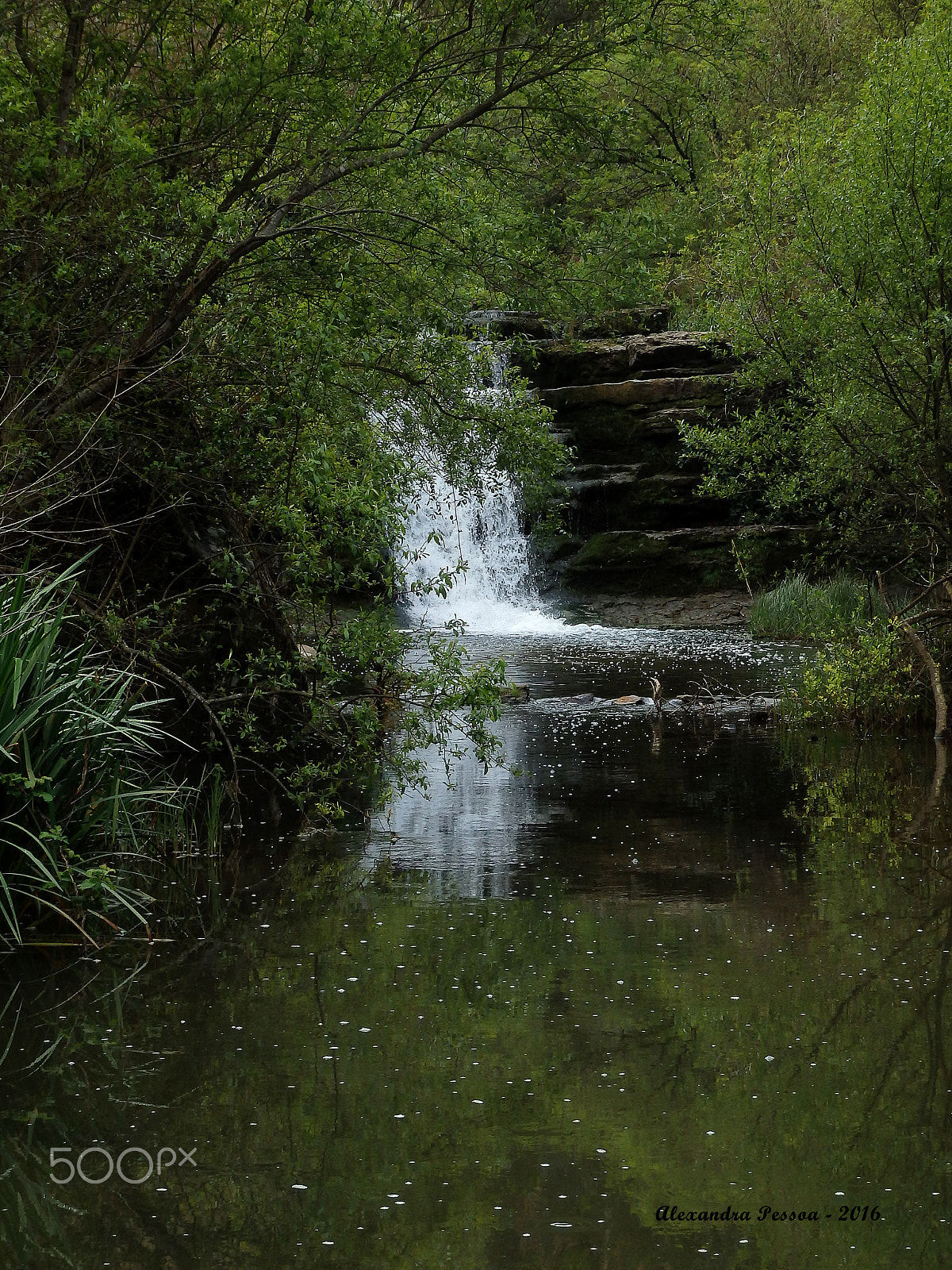 Olympus SH-50 sample photo. Cascate photography