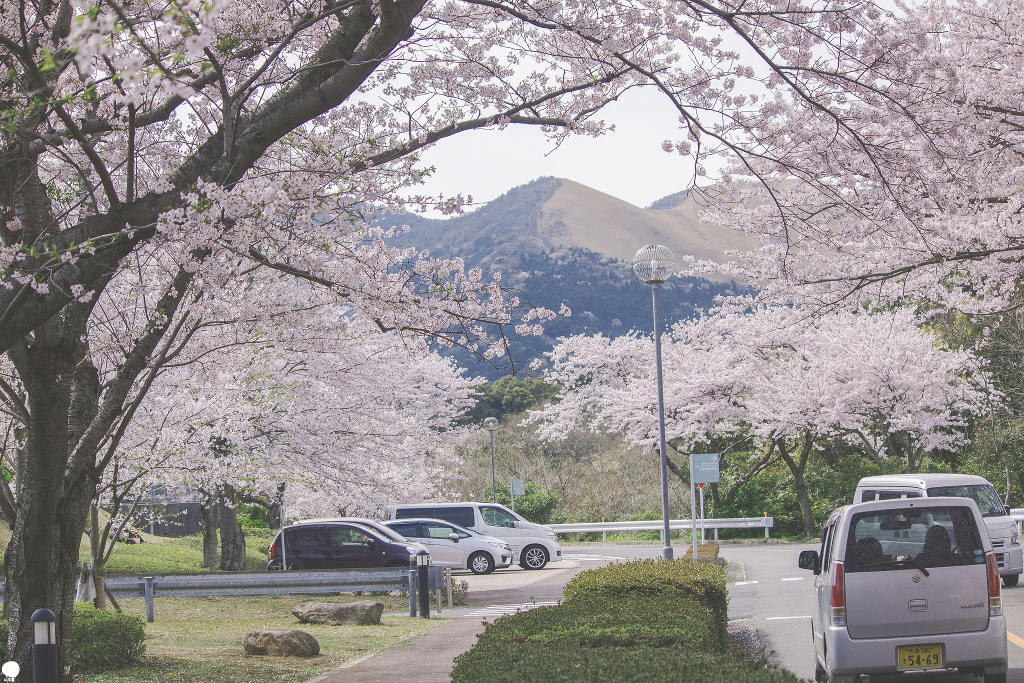 Canon EOS 550D (EOS Rebel T2i / EOS Kiss X4) sample photo. Beppu rehabilitation photography