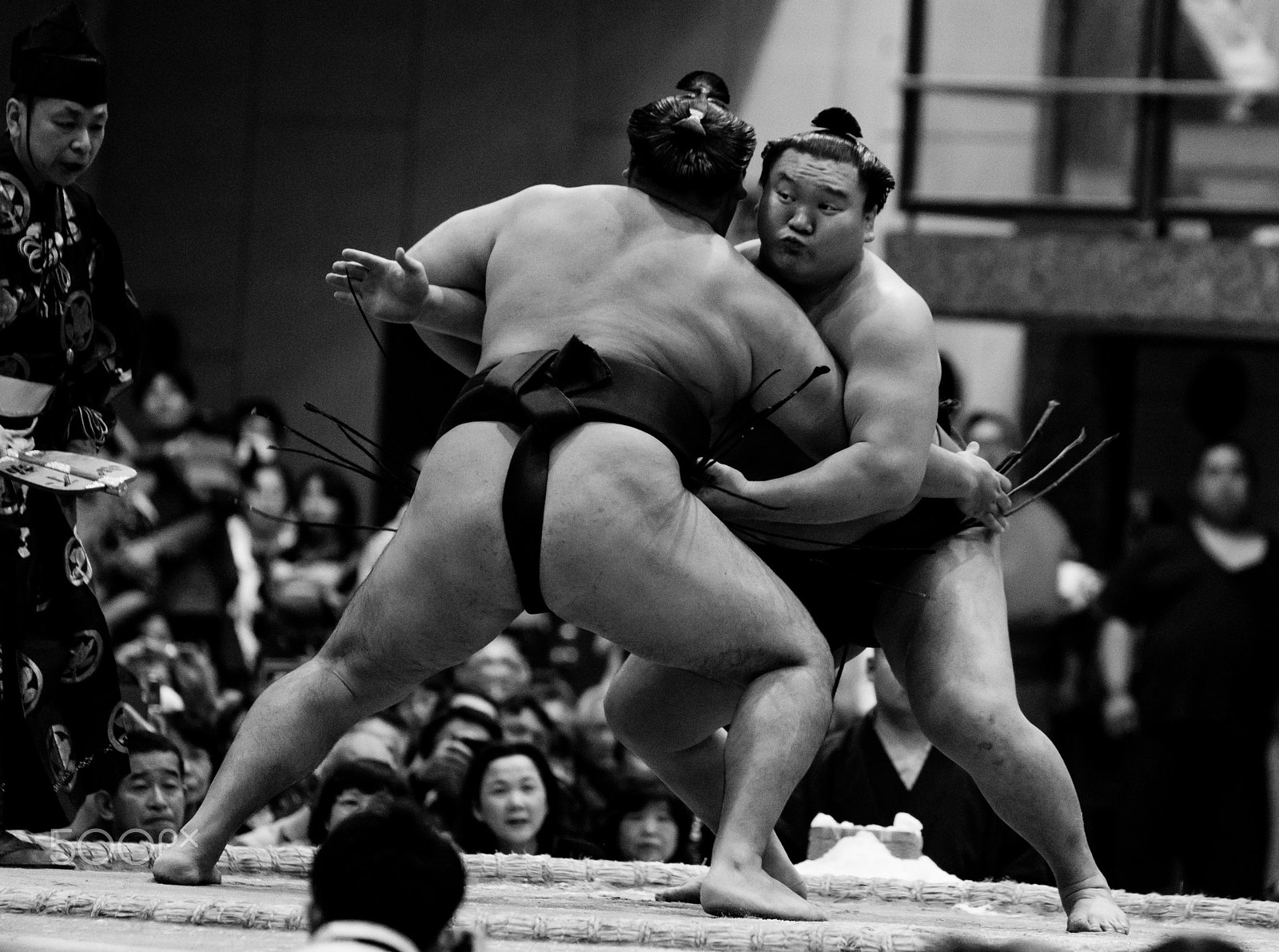 Sony 70-400mm F4-5.6 G SSM II sample photo. 白鵬×鶴竜戦 photography