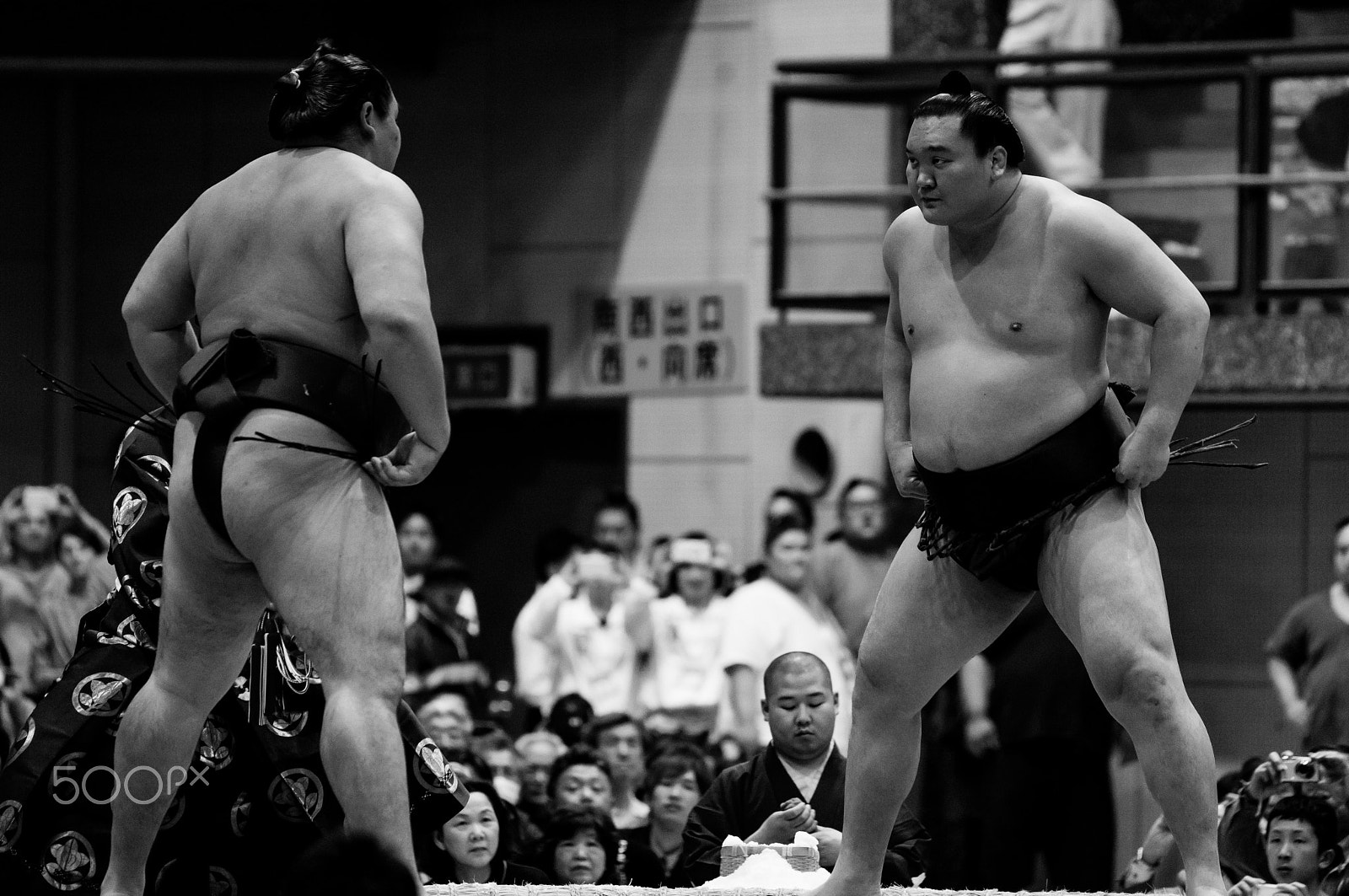 Sony 70-400mm F4-5.6 G SSM II sample photo. 白鵬×鶴竜戦 photography