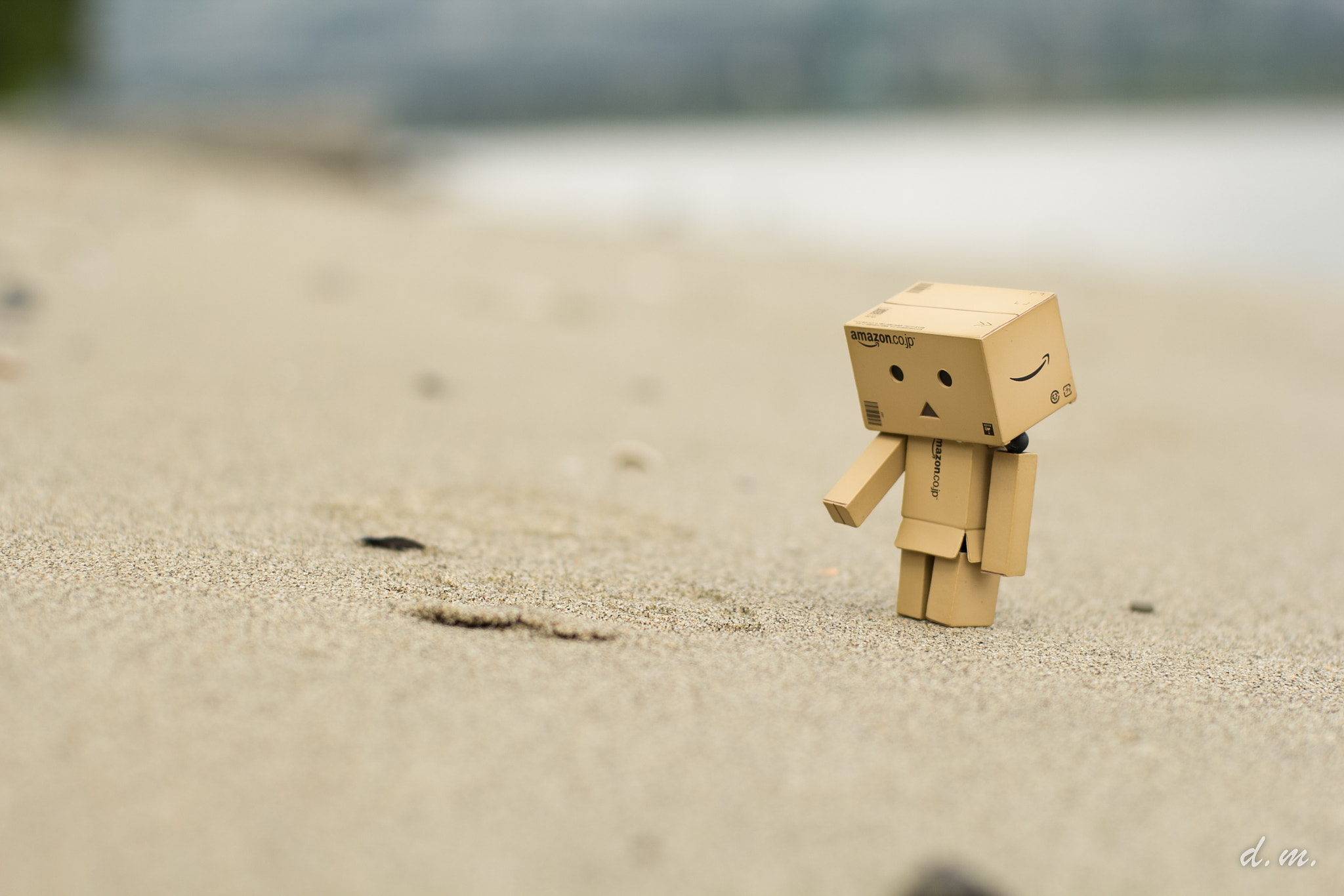 ZEISS Planar T* 50mm F1.4 sample photo. Adventure on a beach photography