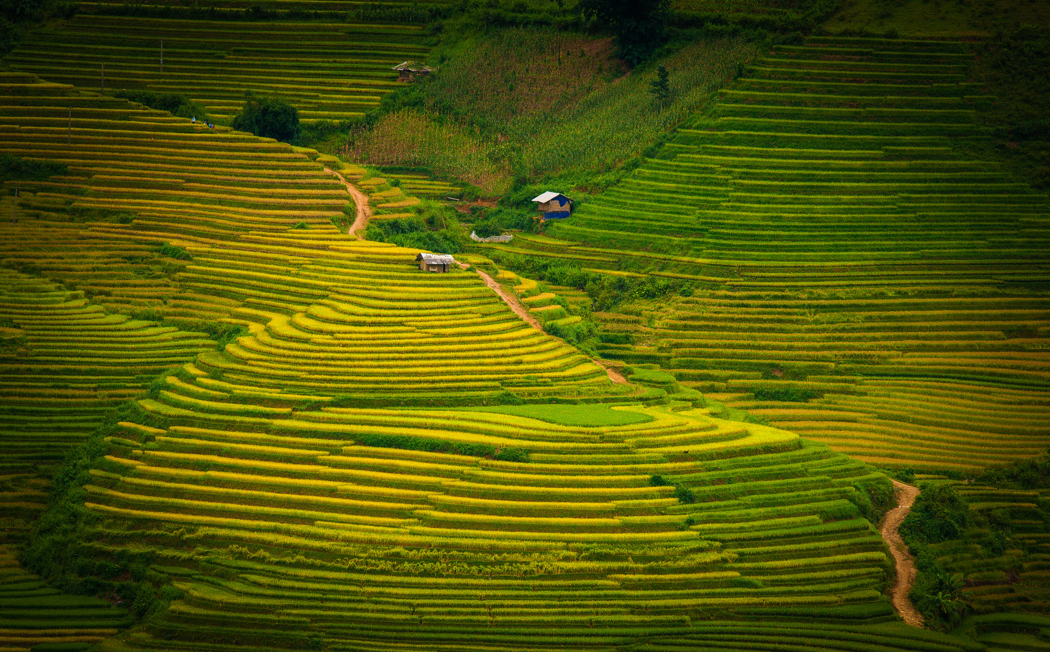 Nikon D300S + AF Nikkor 70-210mm f/4-5.6 sample photo. Mountain home photography