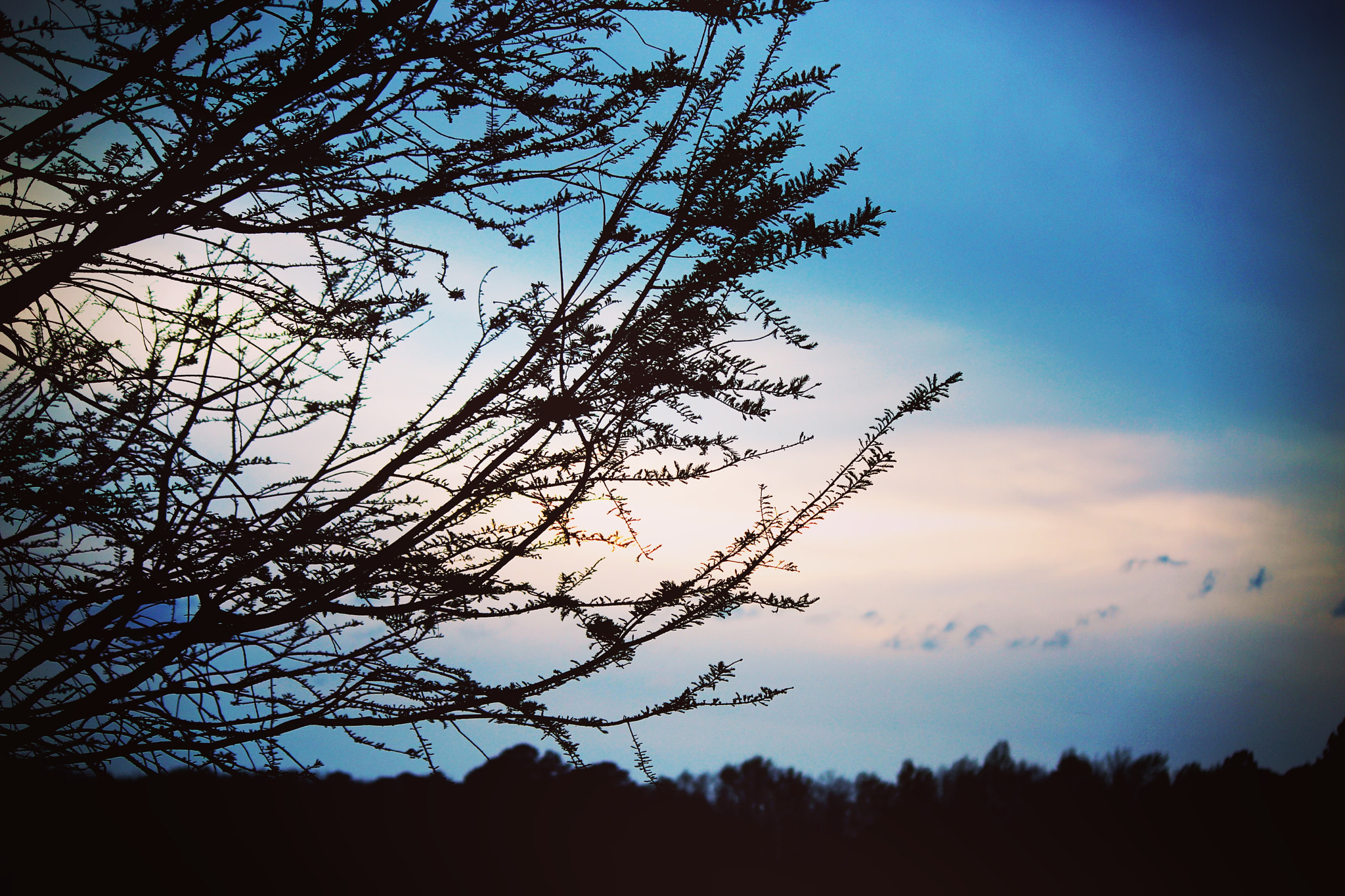Canon EF-S 55-250mm F4-5.6 IS II sample photo. Blue skies photography