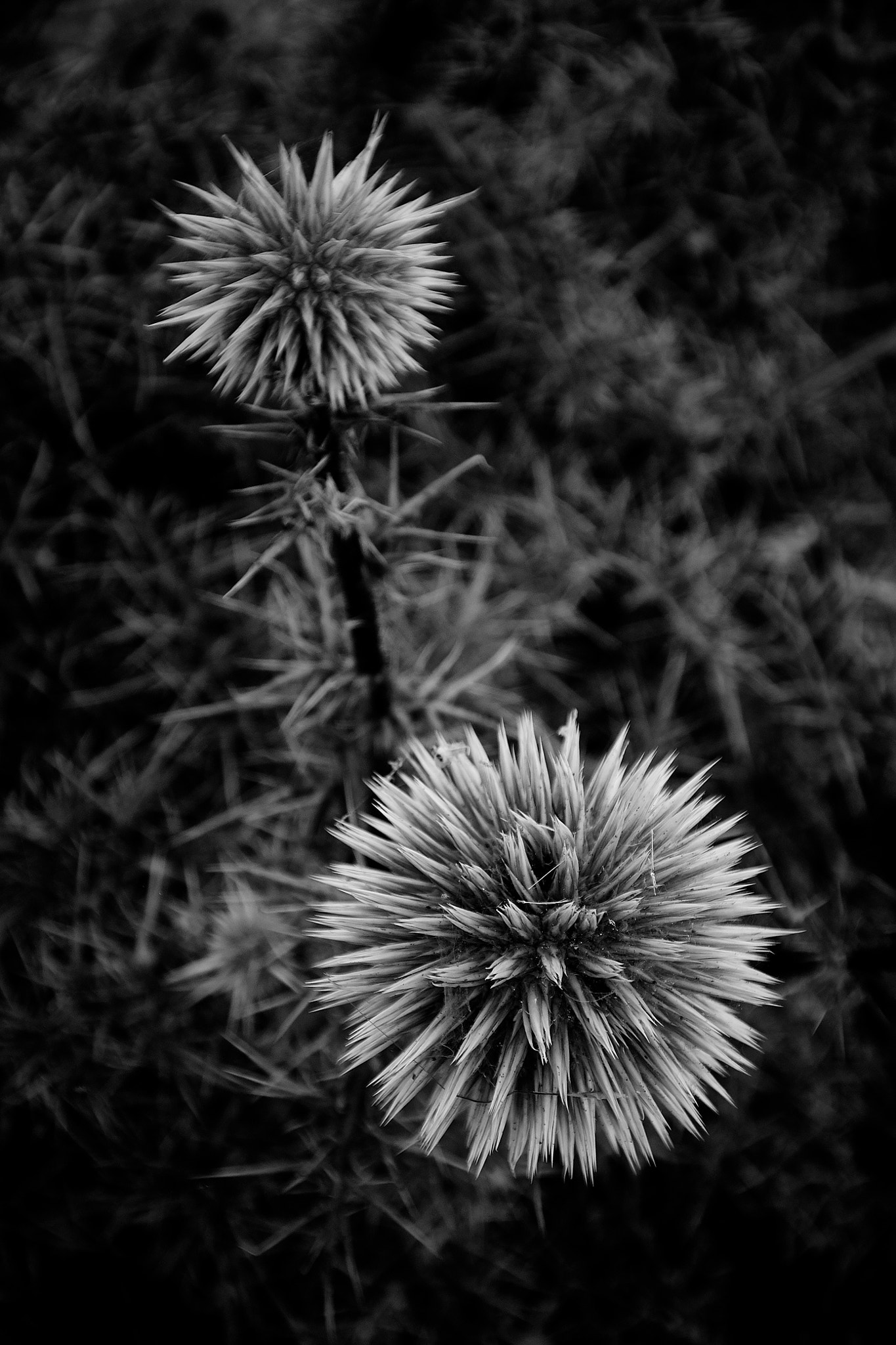 Nikon 1 V3 sample photo. Santorini viii photography