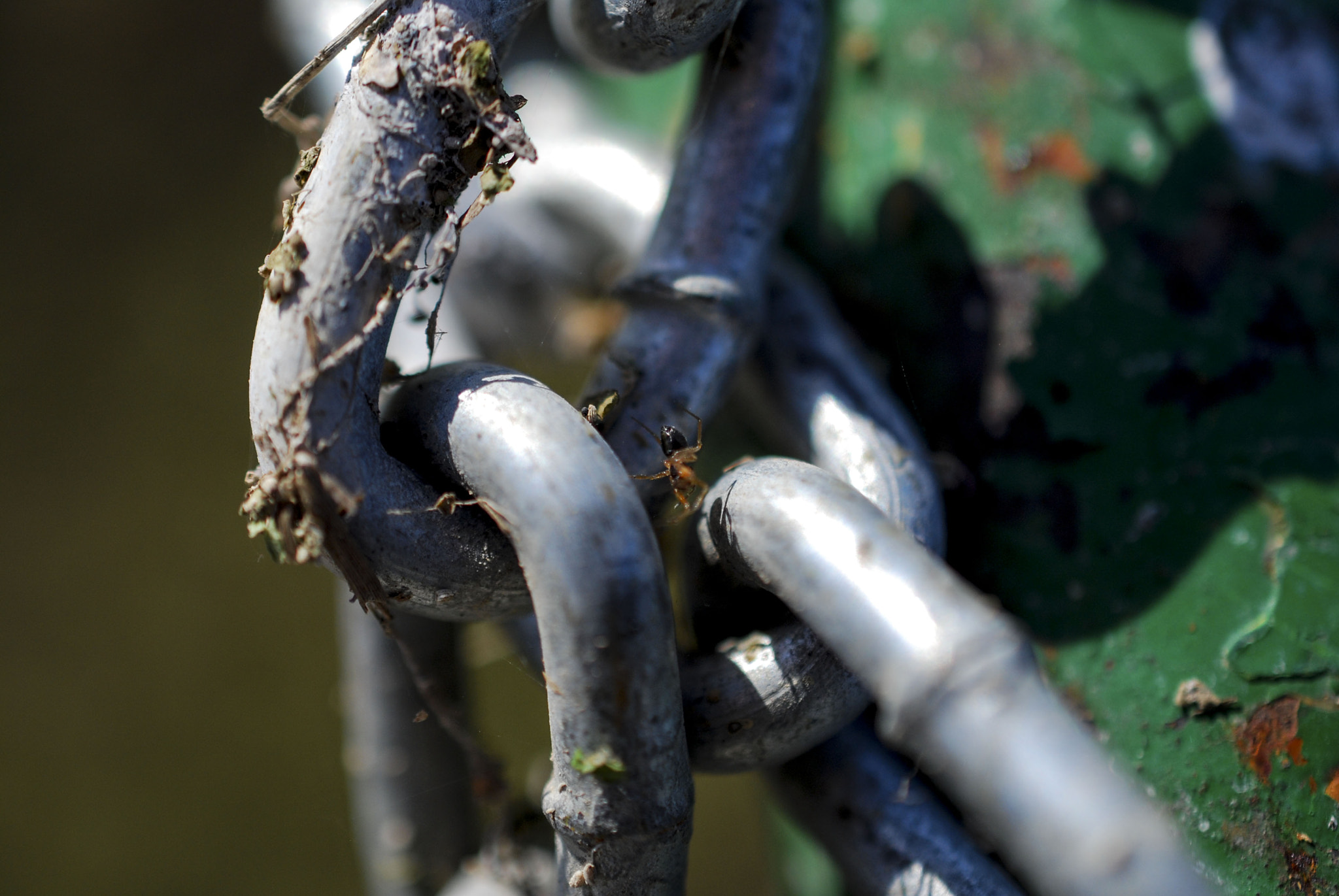Nikon AF-S DX Micro Nikkor 40mm F2.8 sample photo. Chain photography