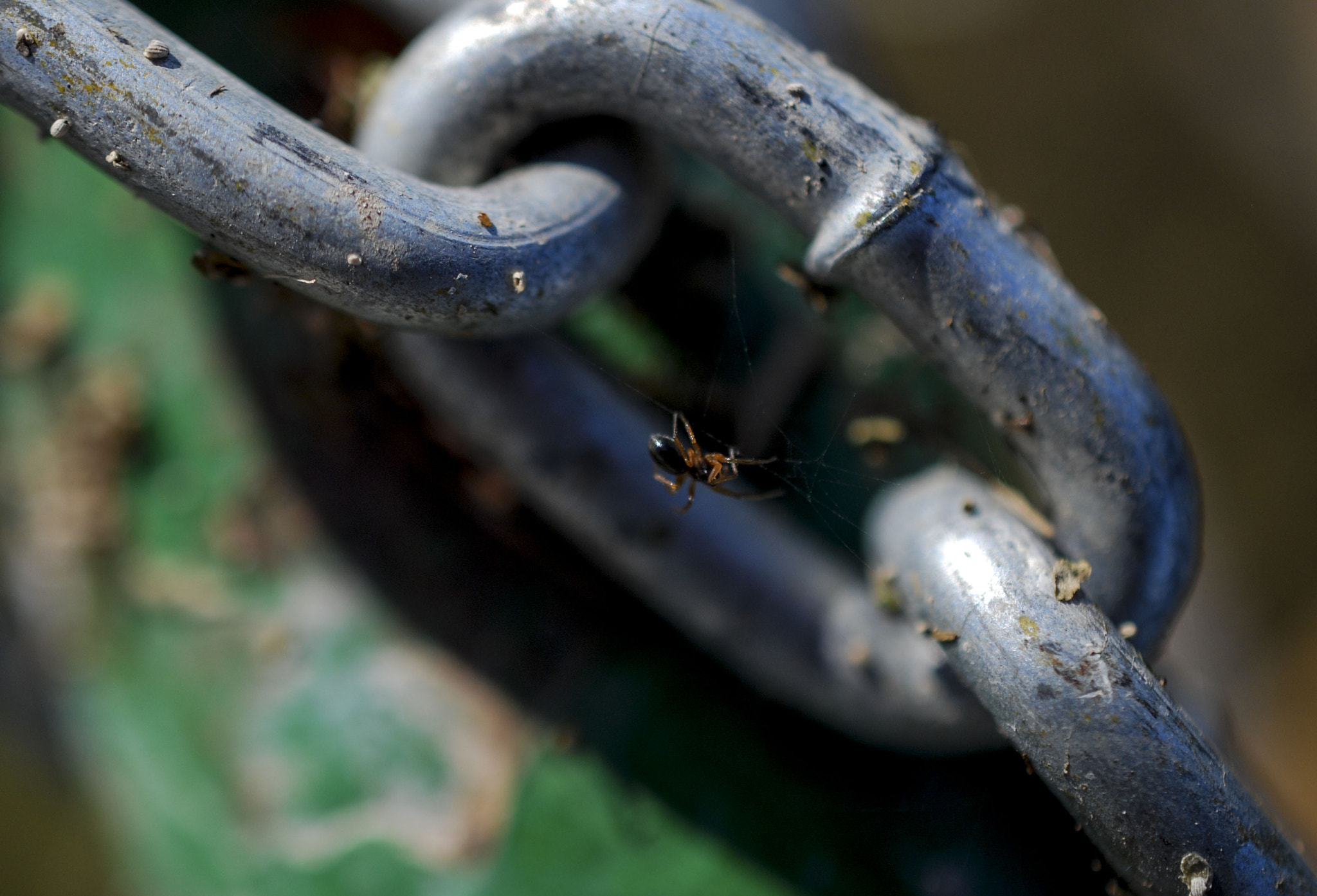 Nikon AF-S DX Micro Nikkor 40mm F2.8 sample photo. Chain photography