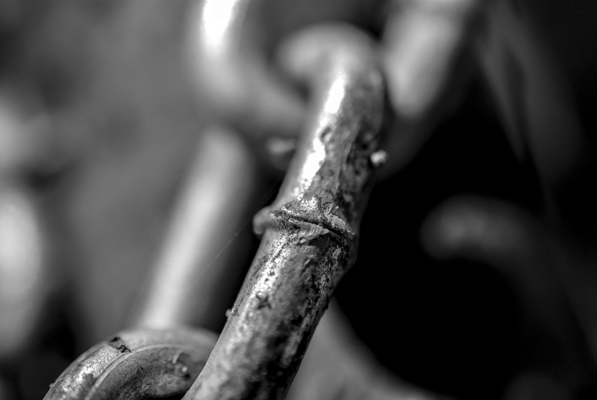 Nikon AF-S DX Micro Nikkor 40mm F2.8 sample photo. Chain photography