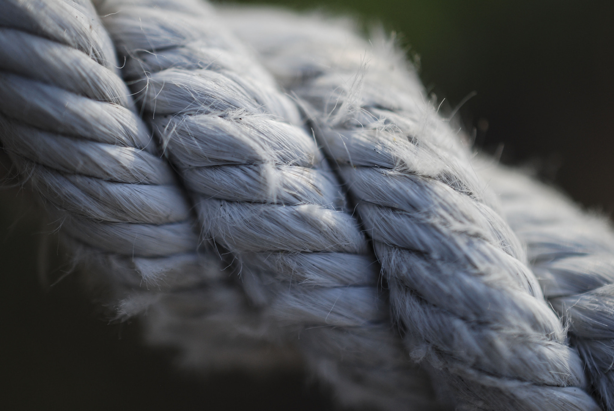 Nikon AF-S DX Micro Nikkor 40mm F2.8 sample photo. Cord photography