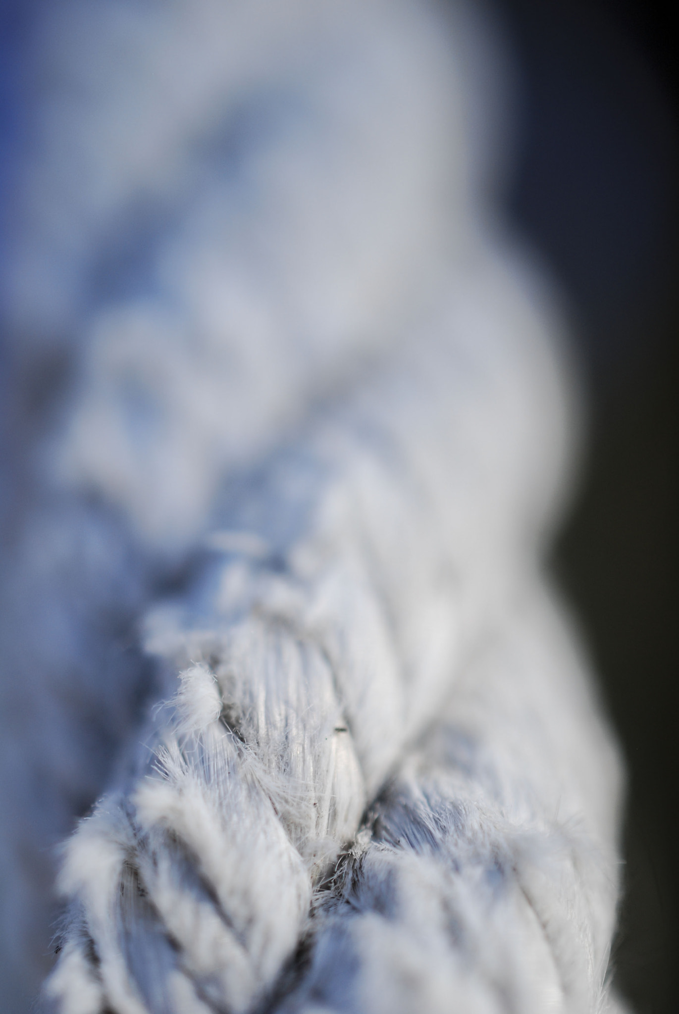 Nikon AF-S DX Micro Nikkor 40mm F2.8 sample photo. Cord photography