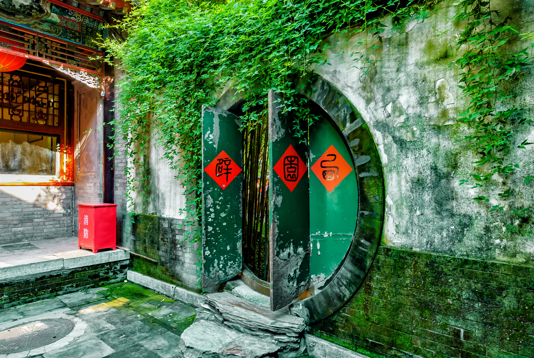 Nikon D200 sample photo. Old door photography