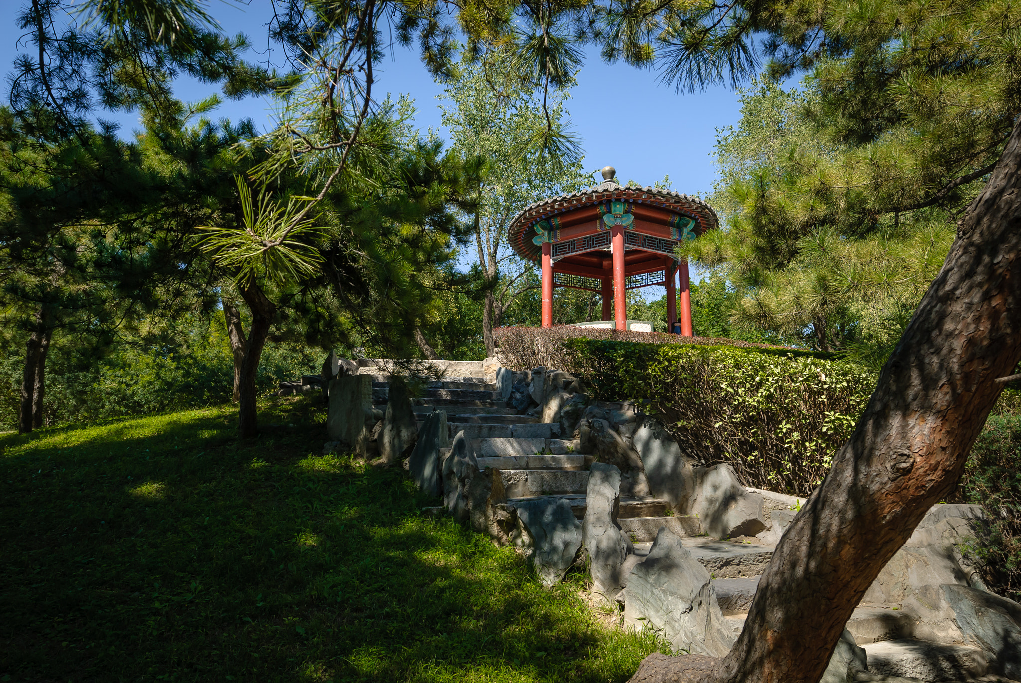 Nikon D200 sample photo. Going to pavilion. photography