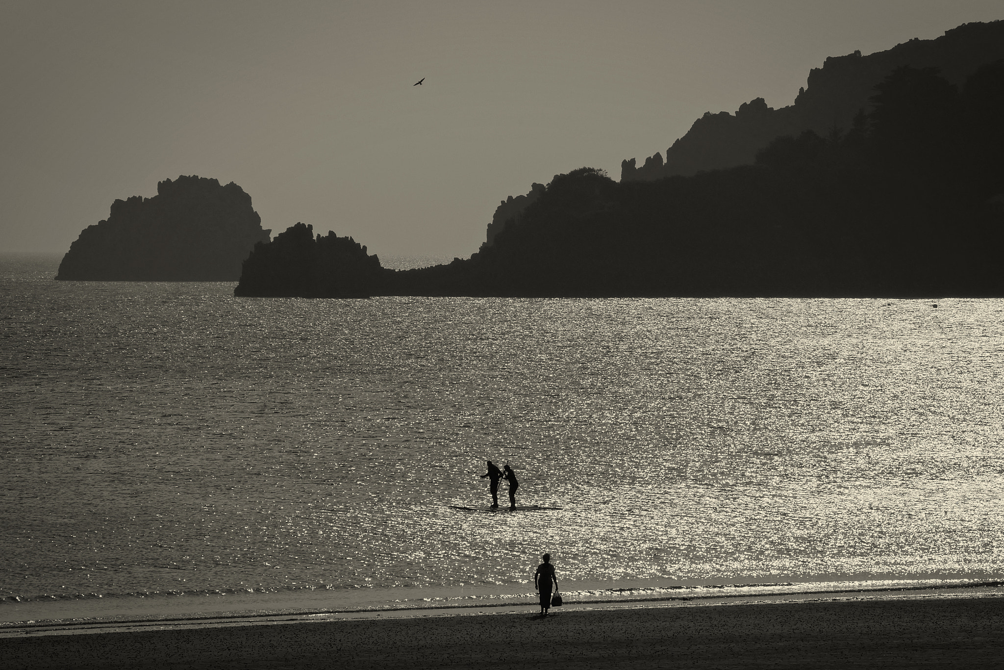 Sony Cyber-shot DSC-RX100 sample photo. Paddleboards. photography