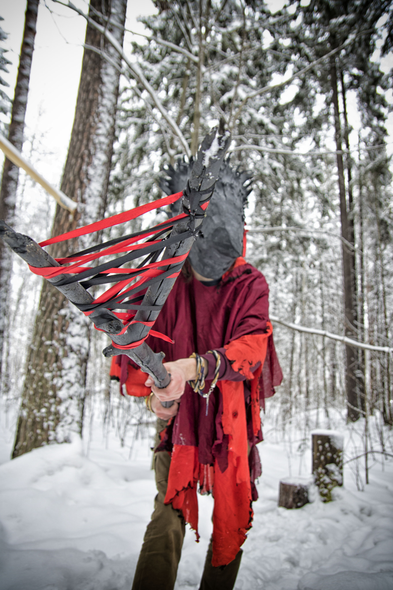 Tamron SP AF 17-50mm F2.8 XR Di II LD Aspherical (IF) sample photo. Militant shaman vol.2 photography