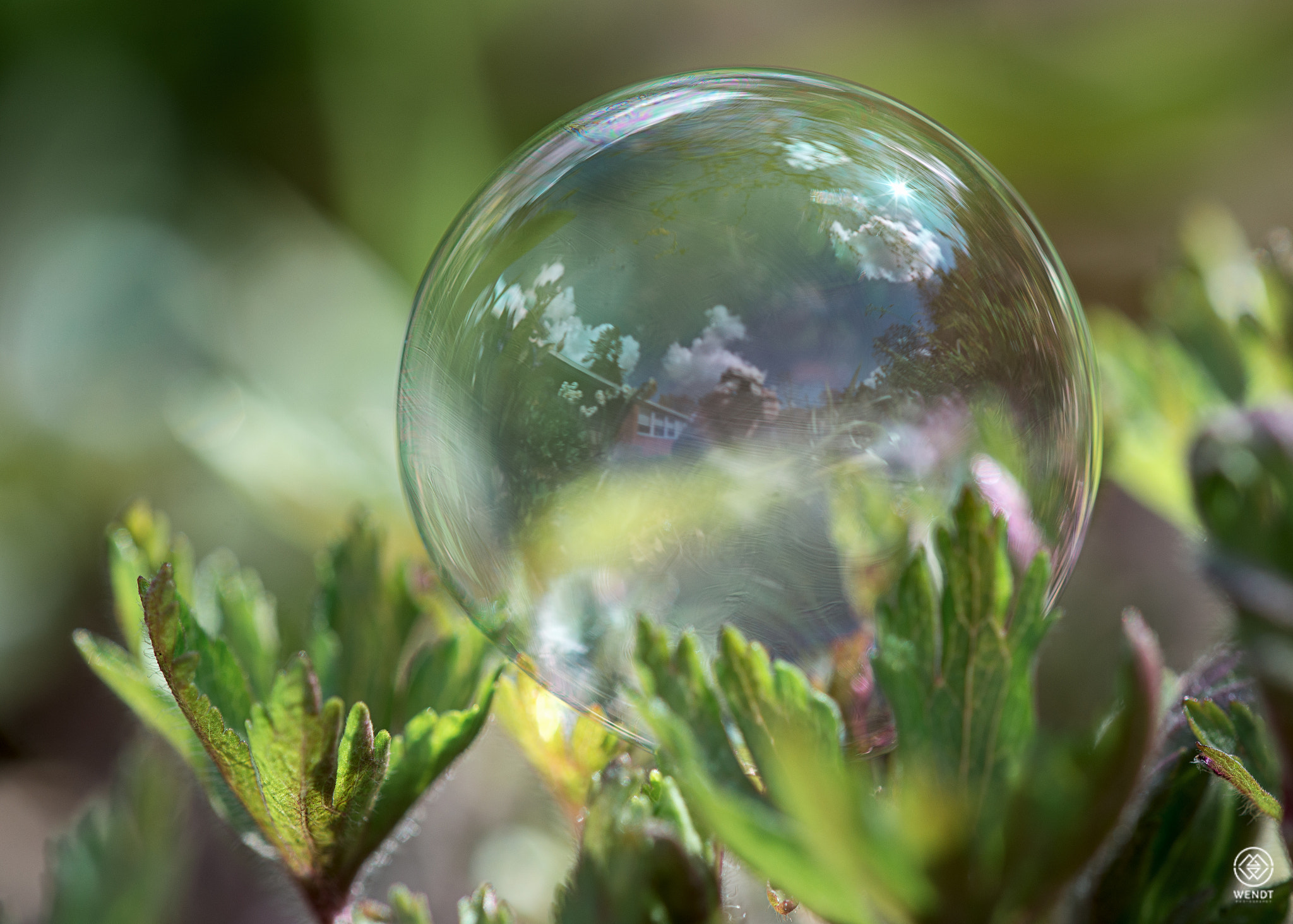 Nikon D610 + Nikon AF Micro-Nikkor 200mm F4D ED-IF sample photo. House in the soap bubble photography