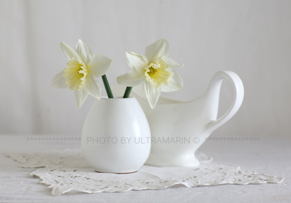 Canon EOS 5D + Canon EF 85mm F1.2L II USM sample photo. - photography