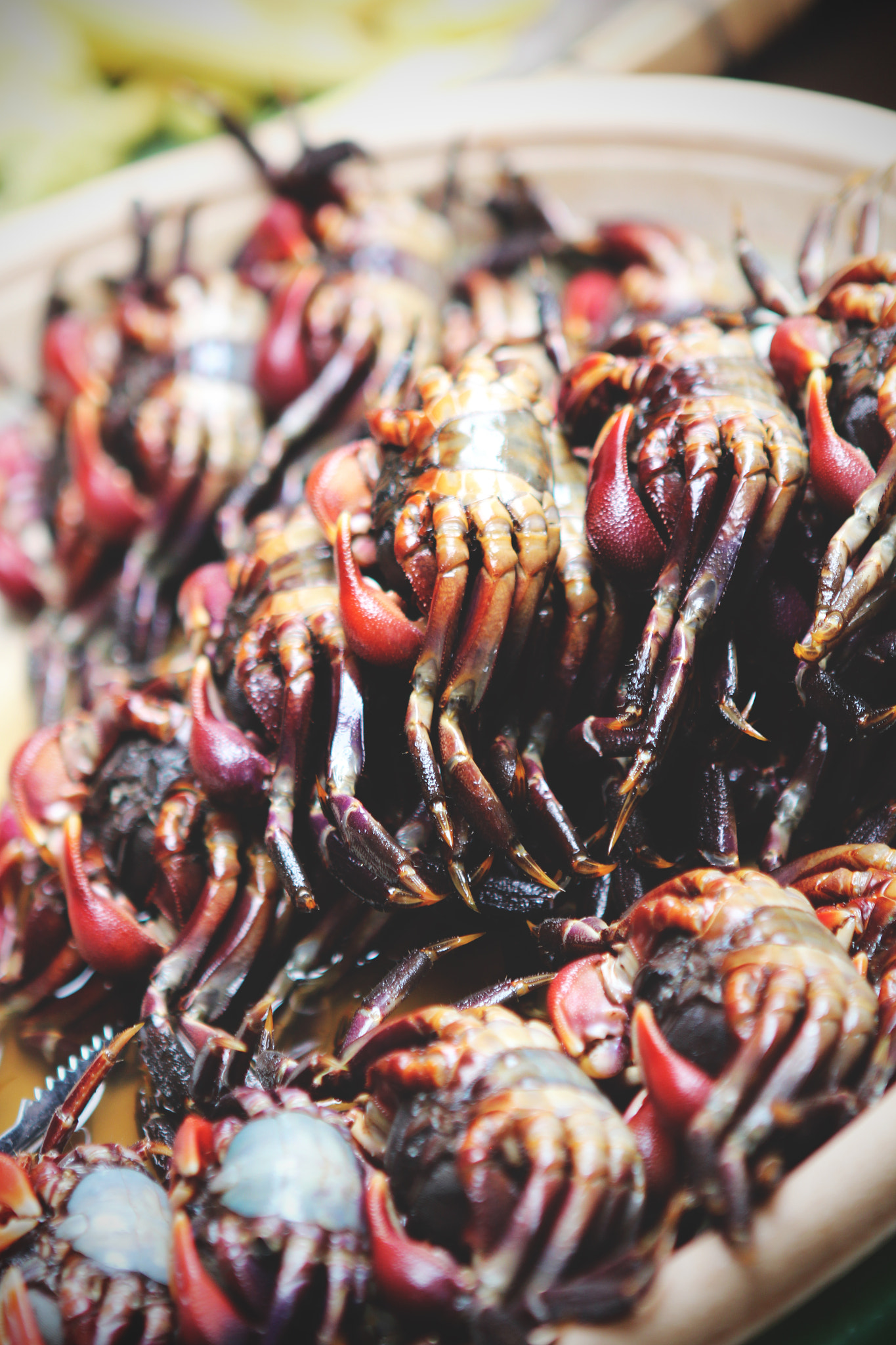Canon EOS 650D (EOS Rebel T4i / EOS Kiss X6i) + Canon EF 24-70mm F2.8L USM sample photo. Bitesized crabs photography