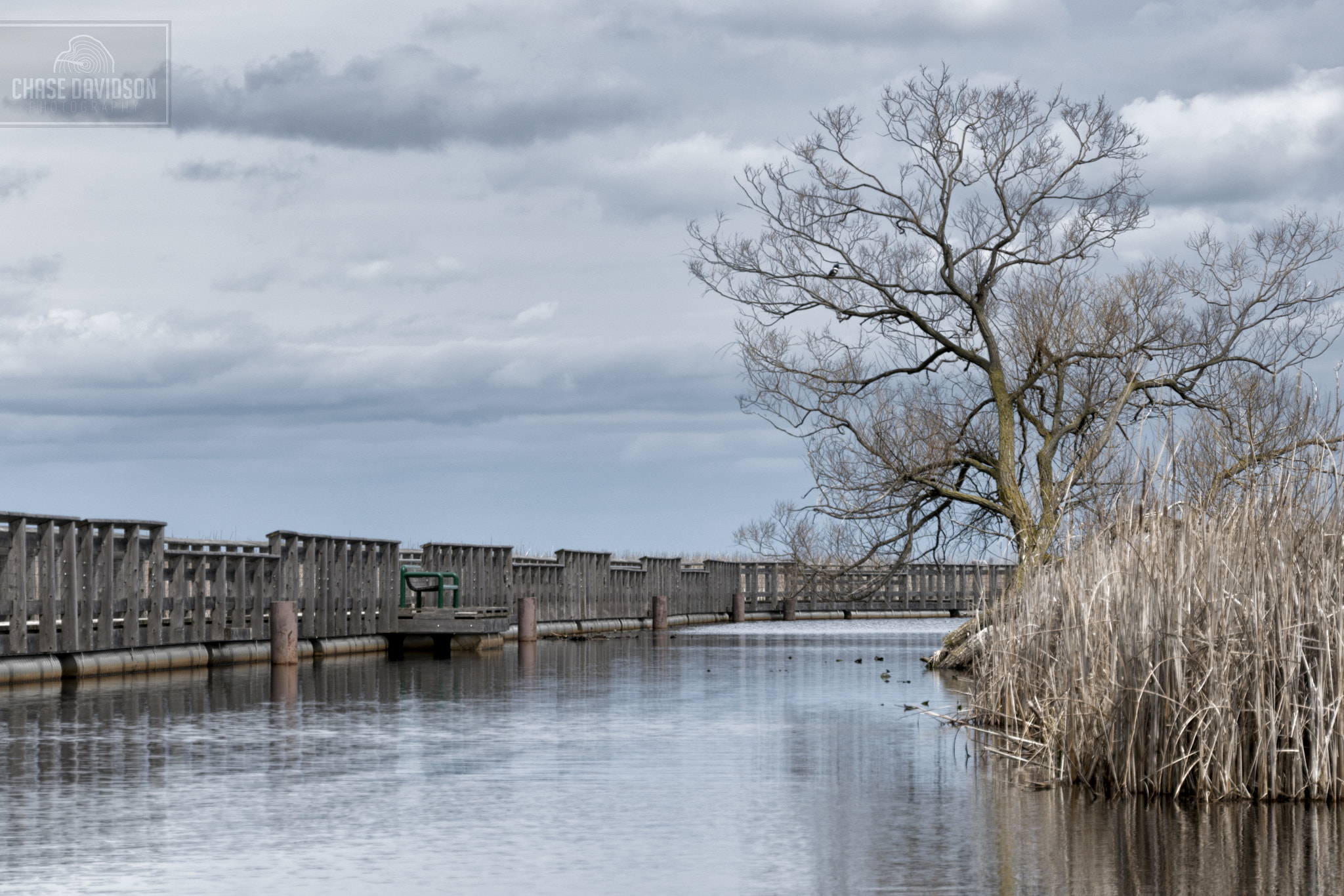 Sony E 18-200mm F3.5-6.3 OSS LE sample photo. Point pelee marshland photography