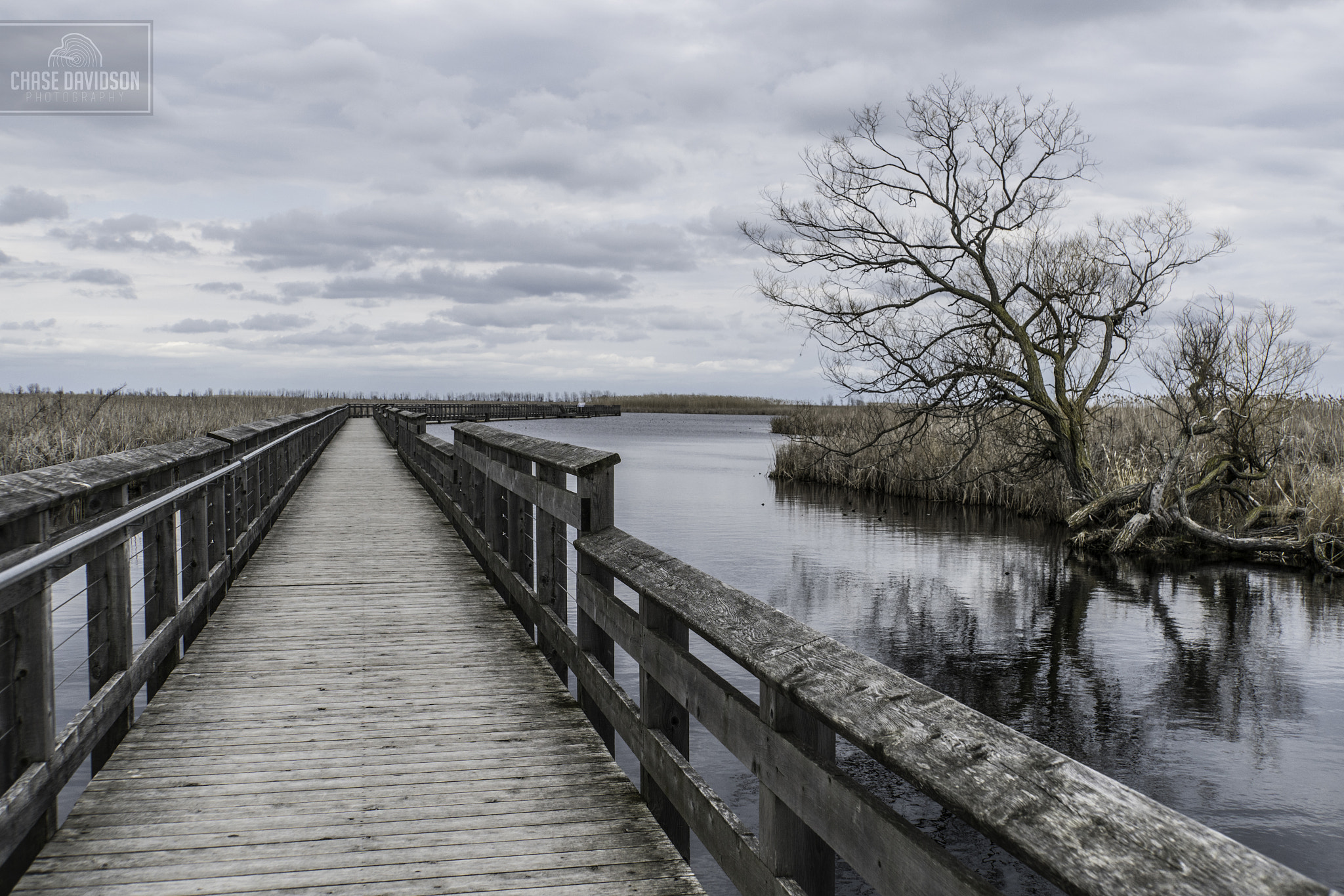 Sony E 18-200mm F3.5-6.3 OSS LE sample photo. Point pelee boardwalk photography