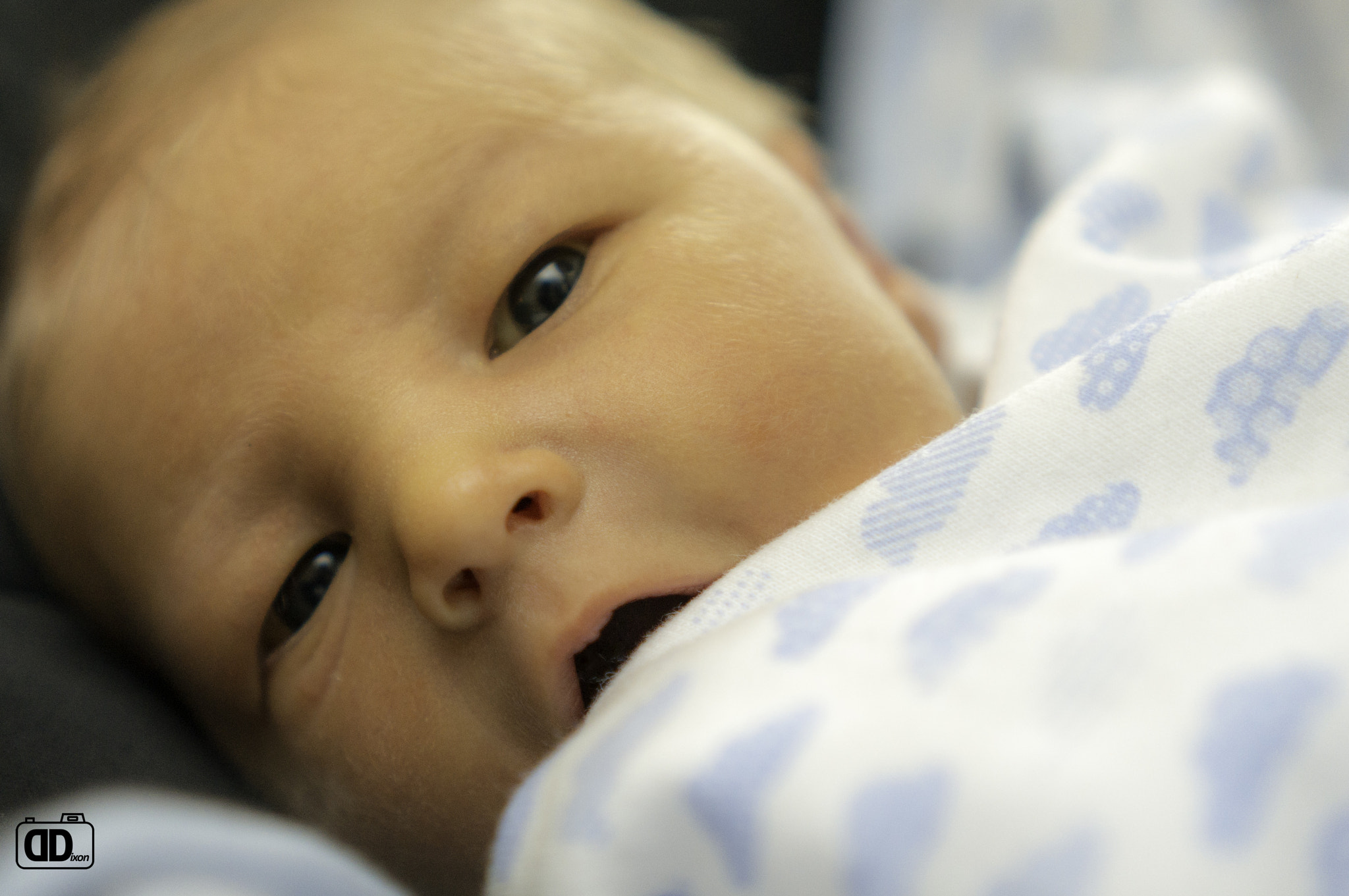 Sony Alpha NEX-6 + Sony E 35mm F1.8 OSS sample photo. Baby blues photography