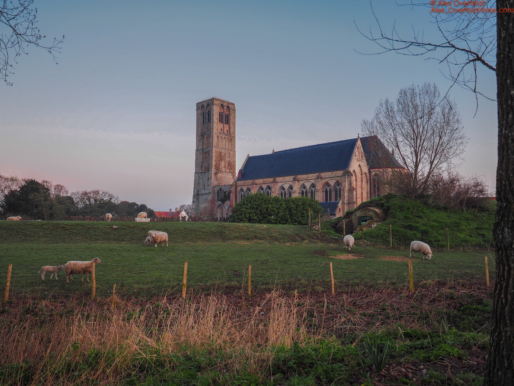 Olympus PEN-F + Olympus M.Zuiko Digital ED 7-14mm F2.8 PRO sample photo. Damme church photography