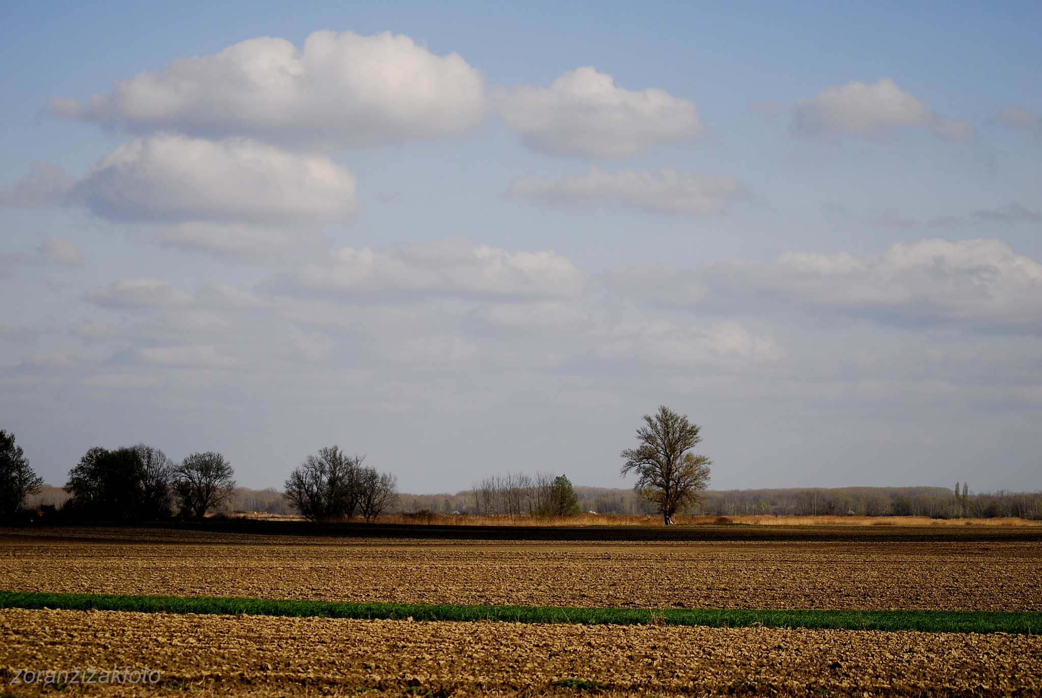 Sigma 70-300mm F4-5.6 APO DG Macro sample photo. Horizont photography