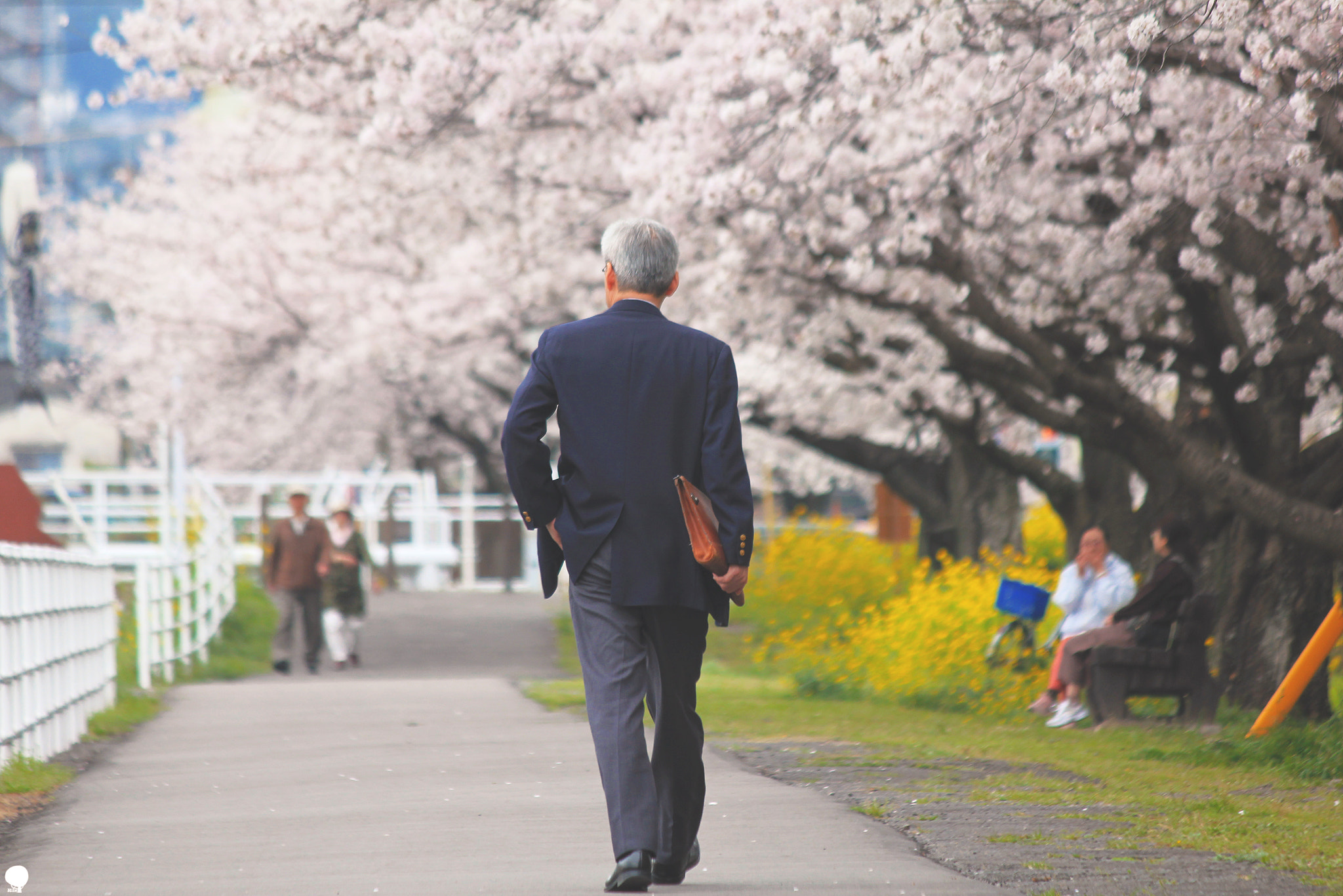 Canon EOS 550D (EOS Rebel T2i / EOS Kiss X4) + Canon EF-S 55-250mm F4-5.6 IS sample photo. Old man photography