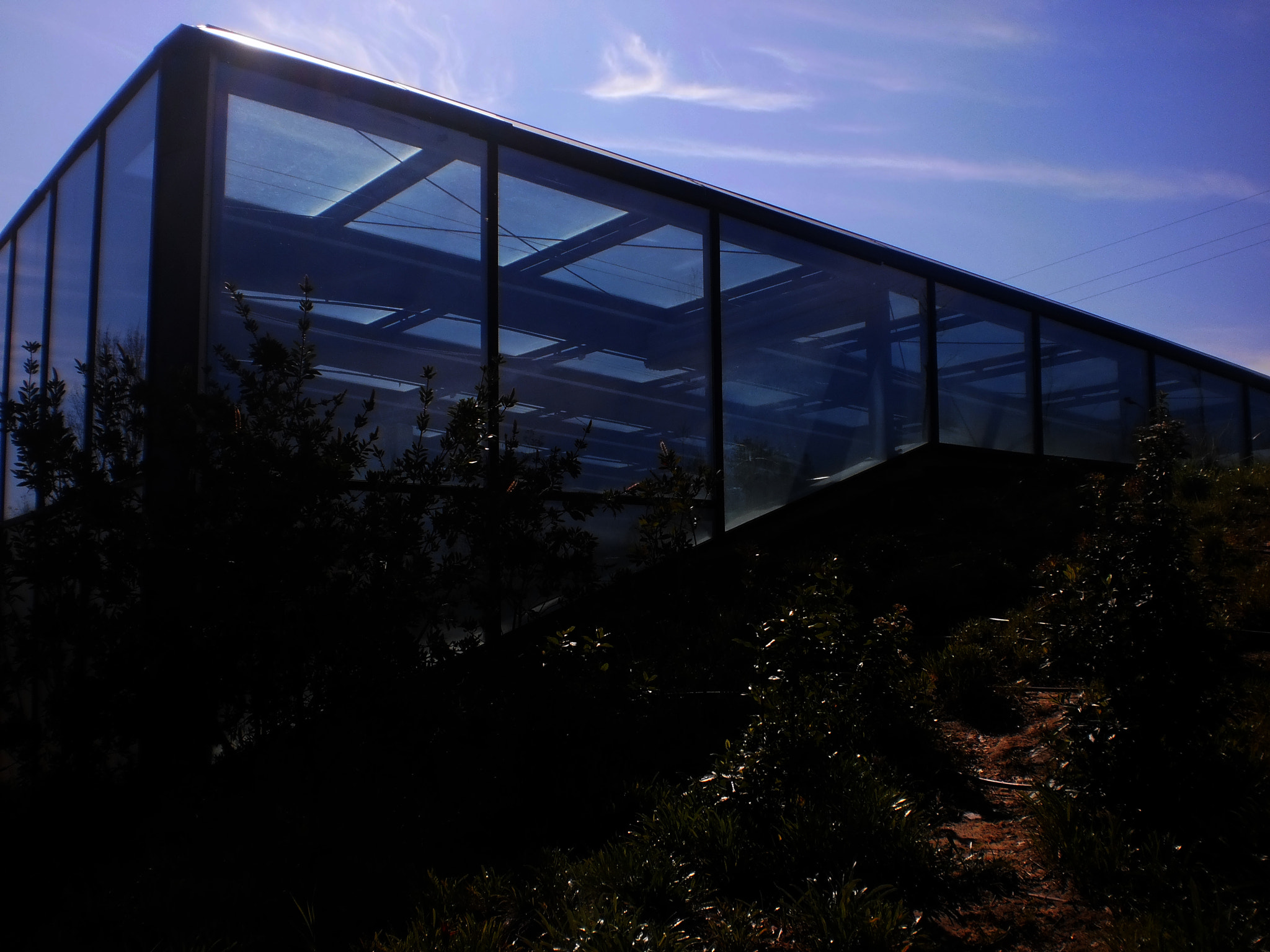 Olympus T105,T100,X36 sample photo. Architecture photography