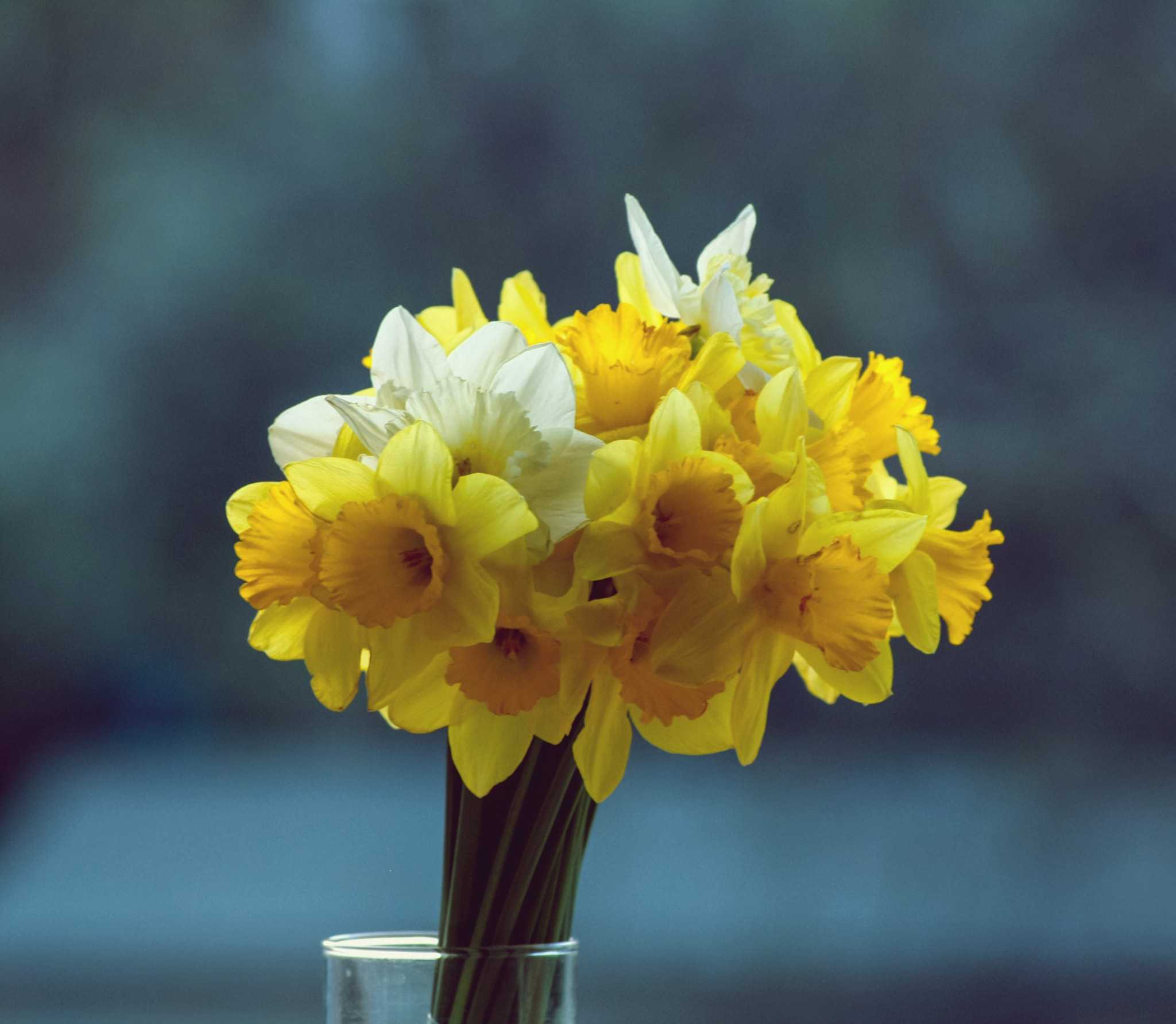Sigma 55-200mm f/4-5.6 DC sample photo. Crop photography