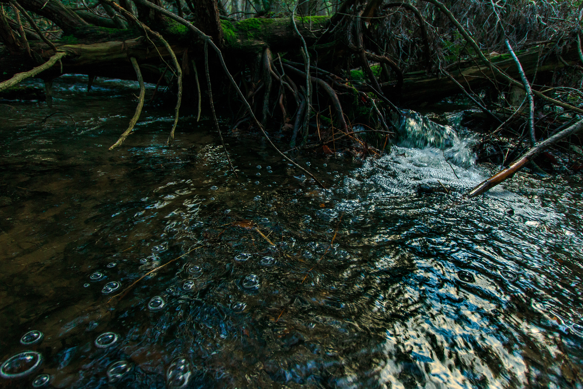 Canon EF-S 10-18mm F4.5–5.6 IS STM sample photo. Follow the bubbles photography