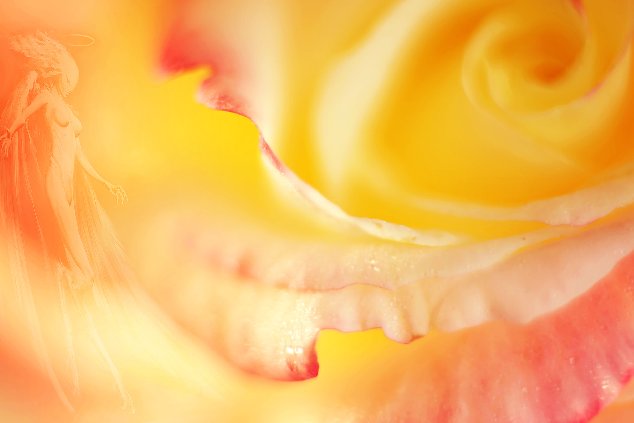 Canon EF 50mm F2.5 Macro sample photo. Virgo photography