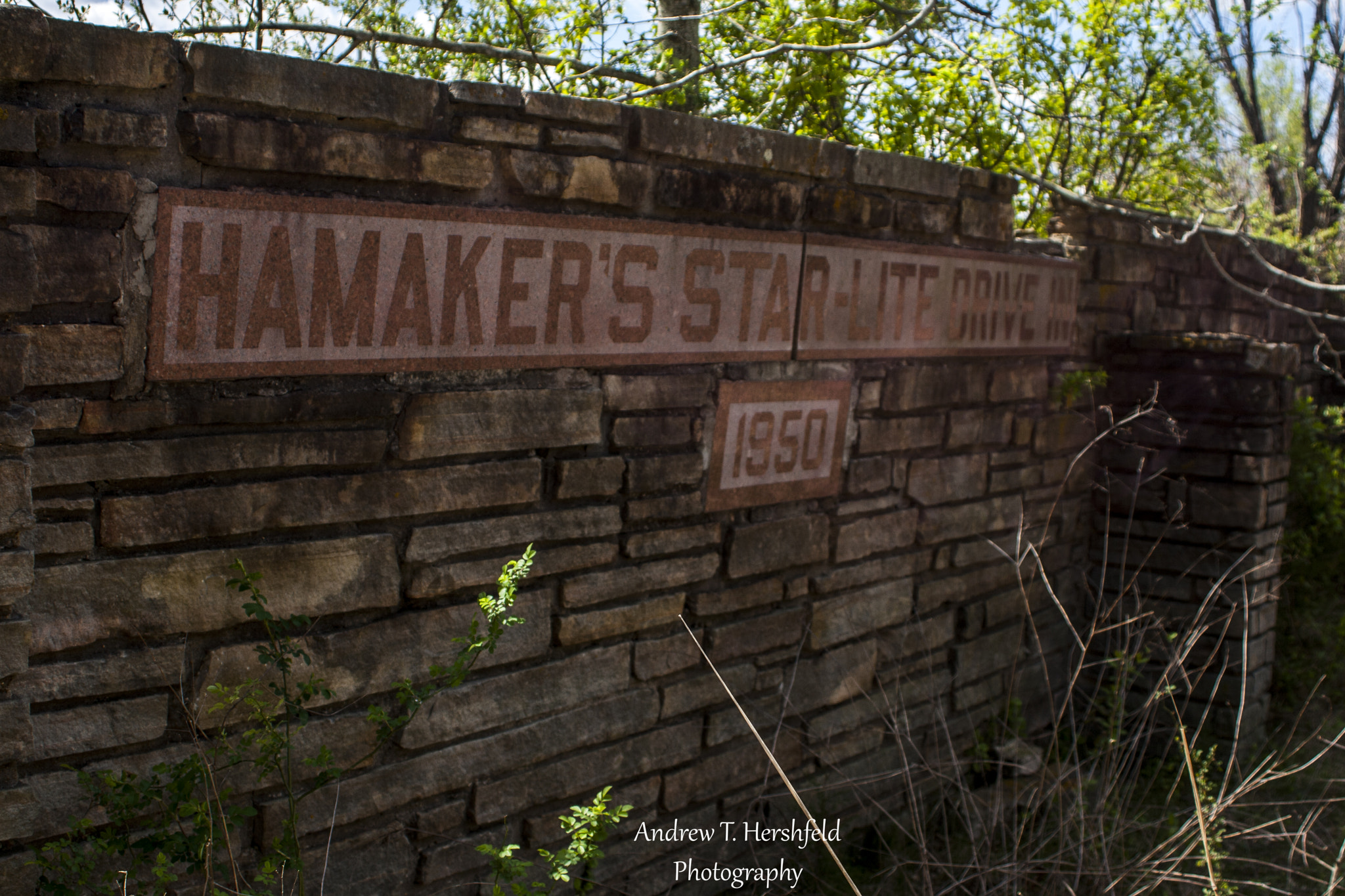 Canon EF 28-80mm f/3.5-5.6 sample photo. Old drive-in sign photography