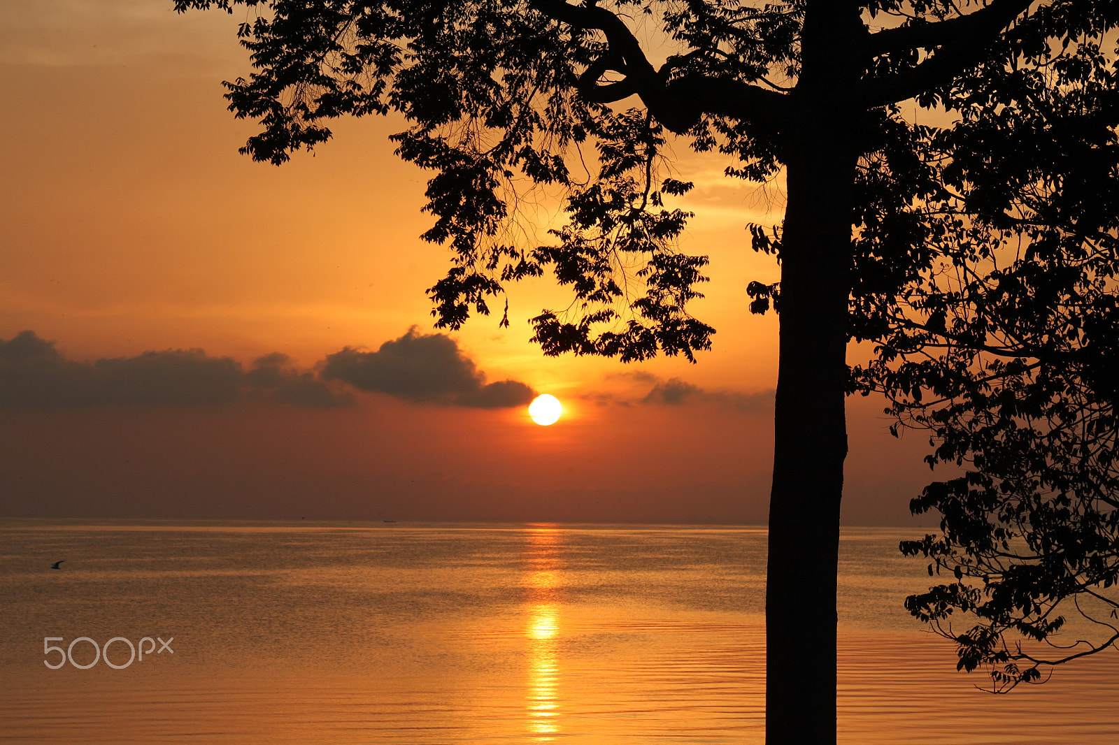 Canon EF 28-135mm F3.5-5.6 IS USM sample photo. Sunrise at entebbe photography