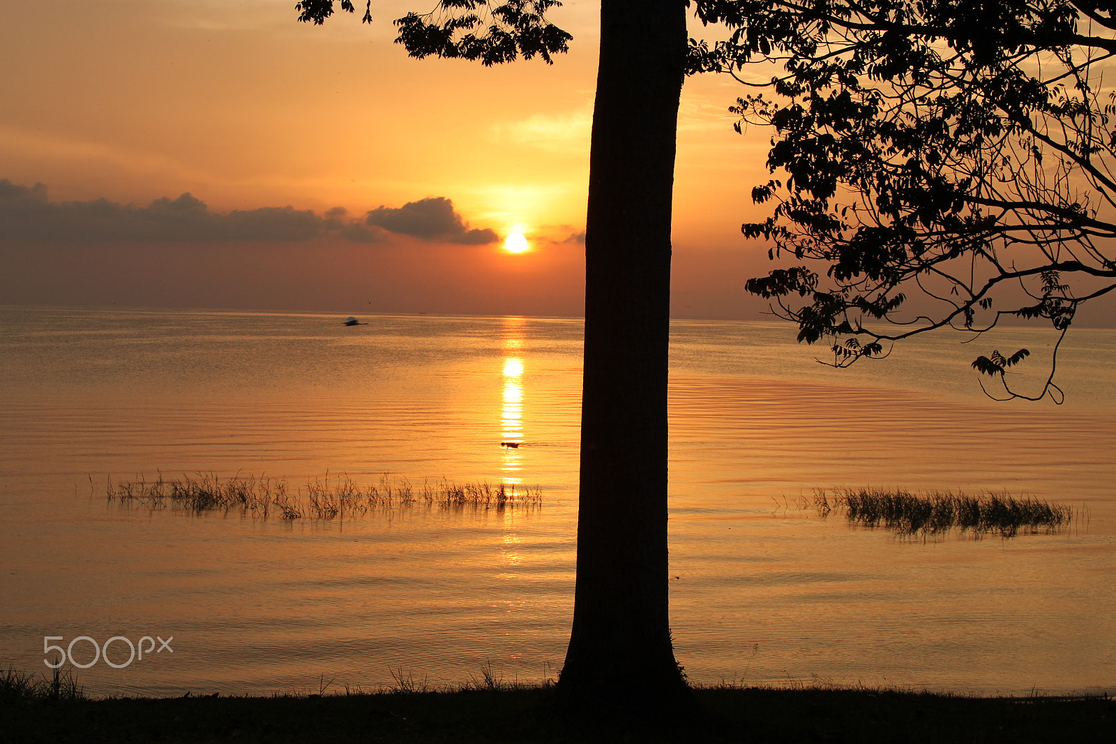 Canon EF 28-135mm F3.5-5.6 IS USM sample photo. Sunrise in uganda photography