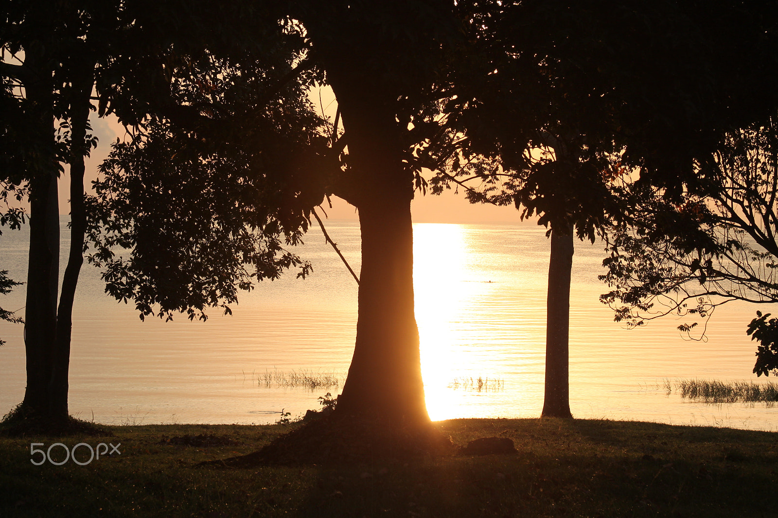 Canon EF 28-135mm F3.5-5.6 IS USM sample photo. Sunrise in uganda photography
