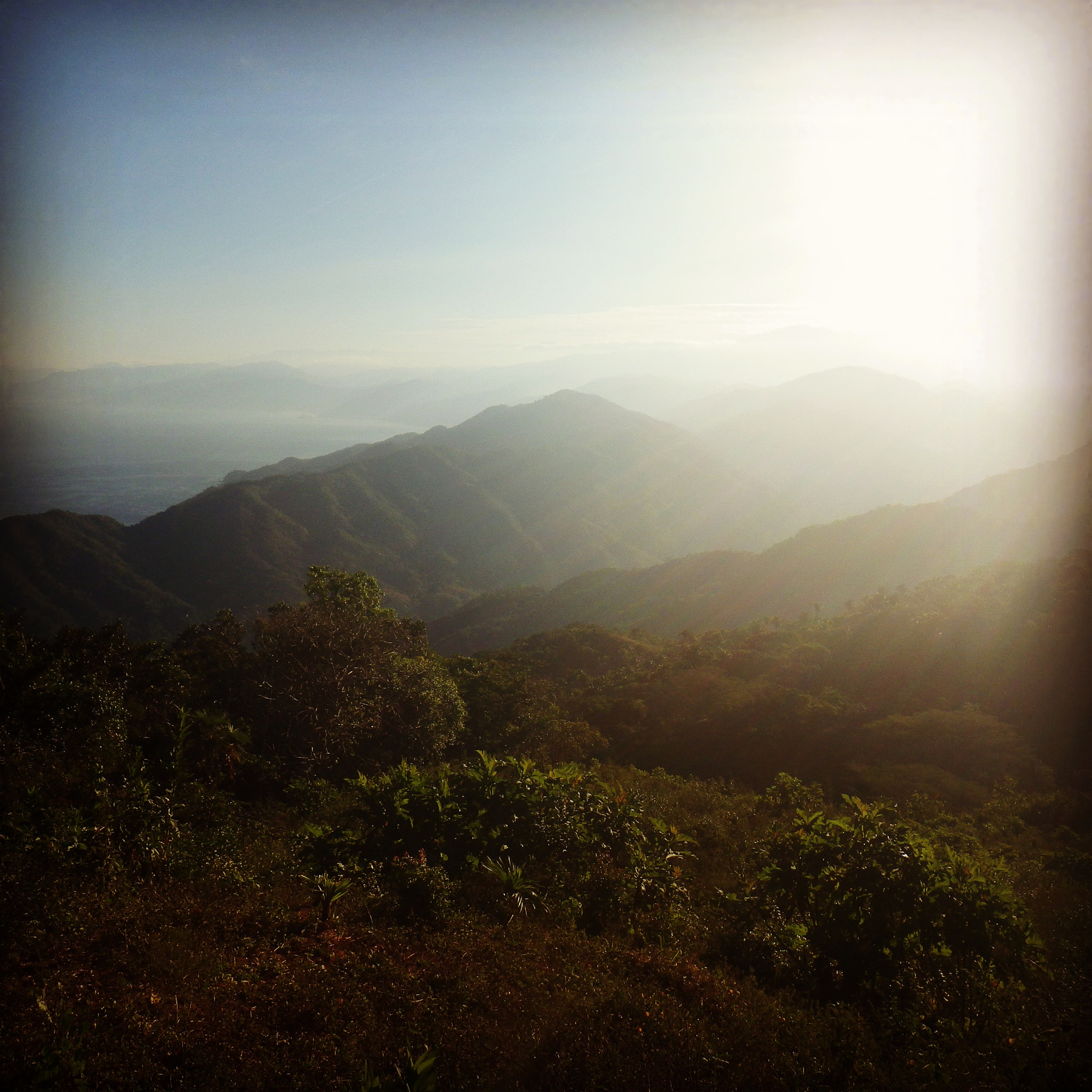 Pentax Optio WG-2 sample photo. Morning comes to the jungle photography