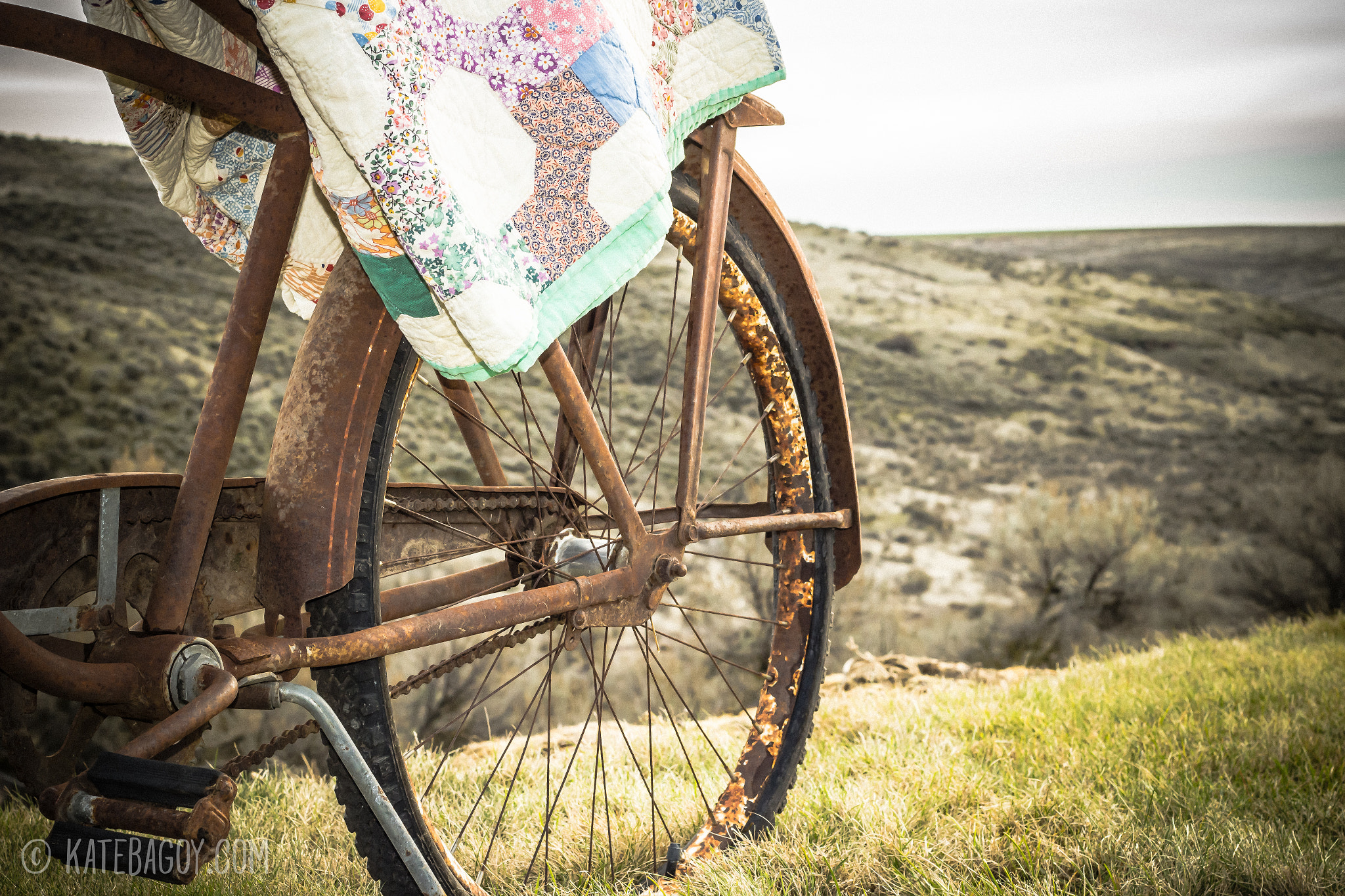 Canon EOS 100D (EOS Rebel SL1 / EOS Kiss X7) + Canon EF 50mm F1.8 II sample photo. Rustic bike photography