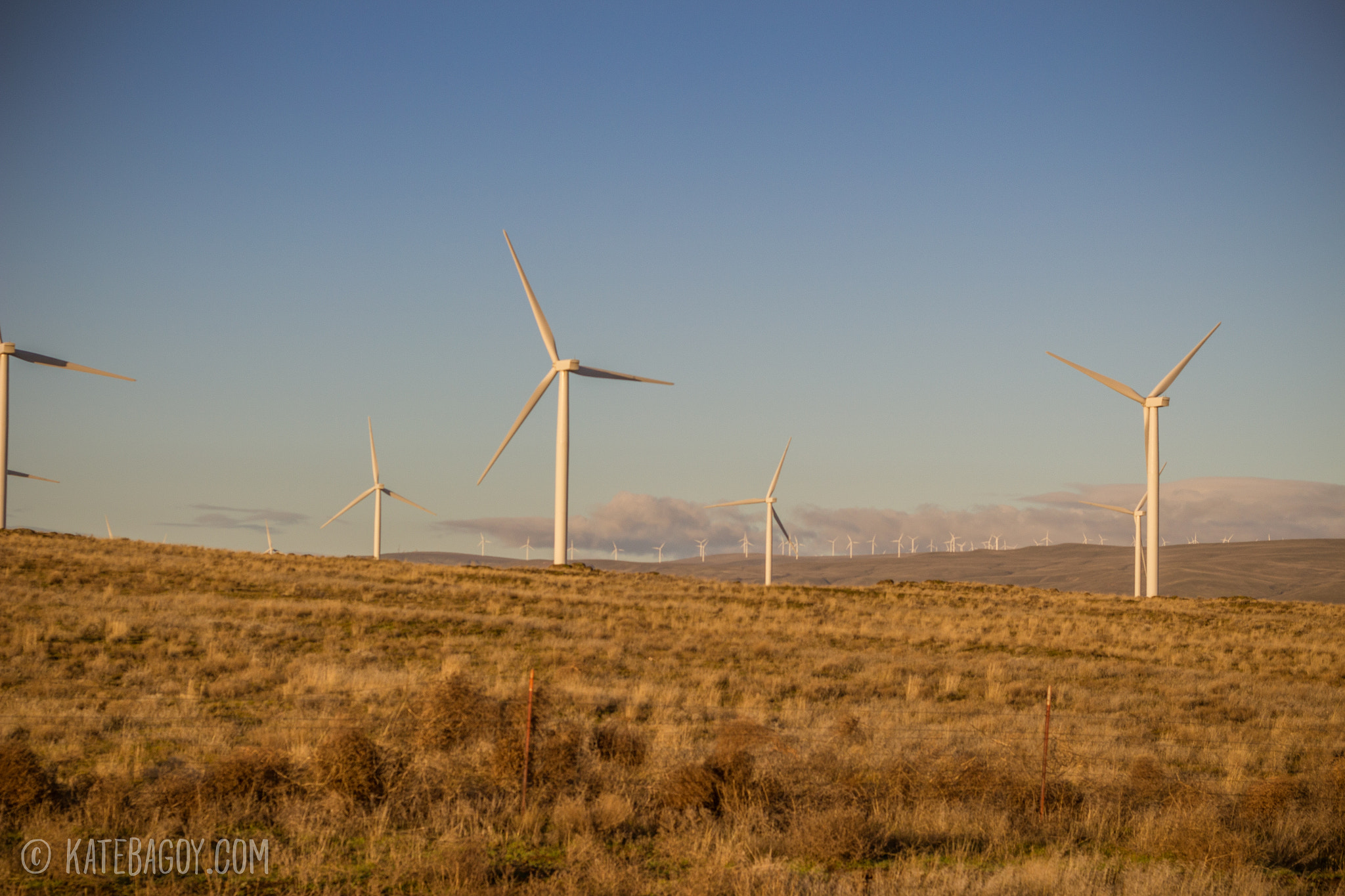 Canon EOS 100D (EOS Rebel SL1 / EOS Kiss X7) + Canon EF 50mm F1.8 II sample photo. Tilting at windmills photography