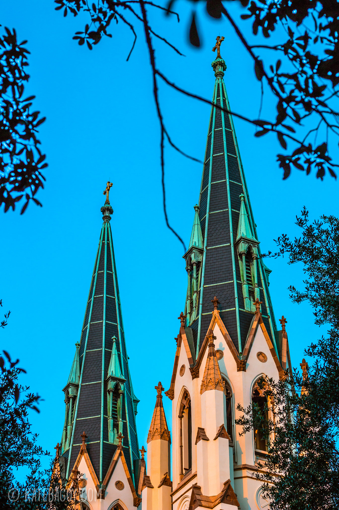 Canon EOS 100D (EOS Rebel SL1 / EOS Kiss X7) + Canon EF 50mm F1.8 II sample photo. St. john the babtist photography