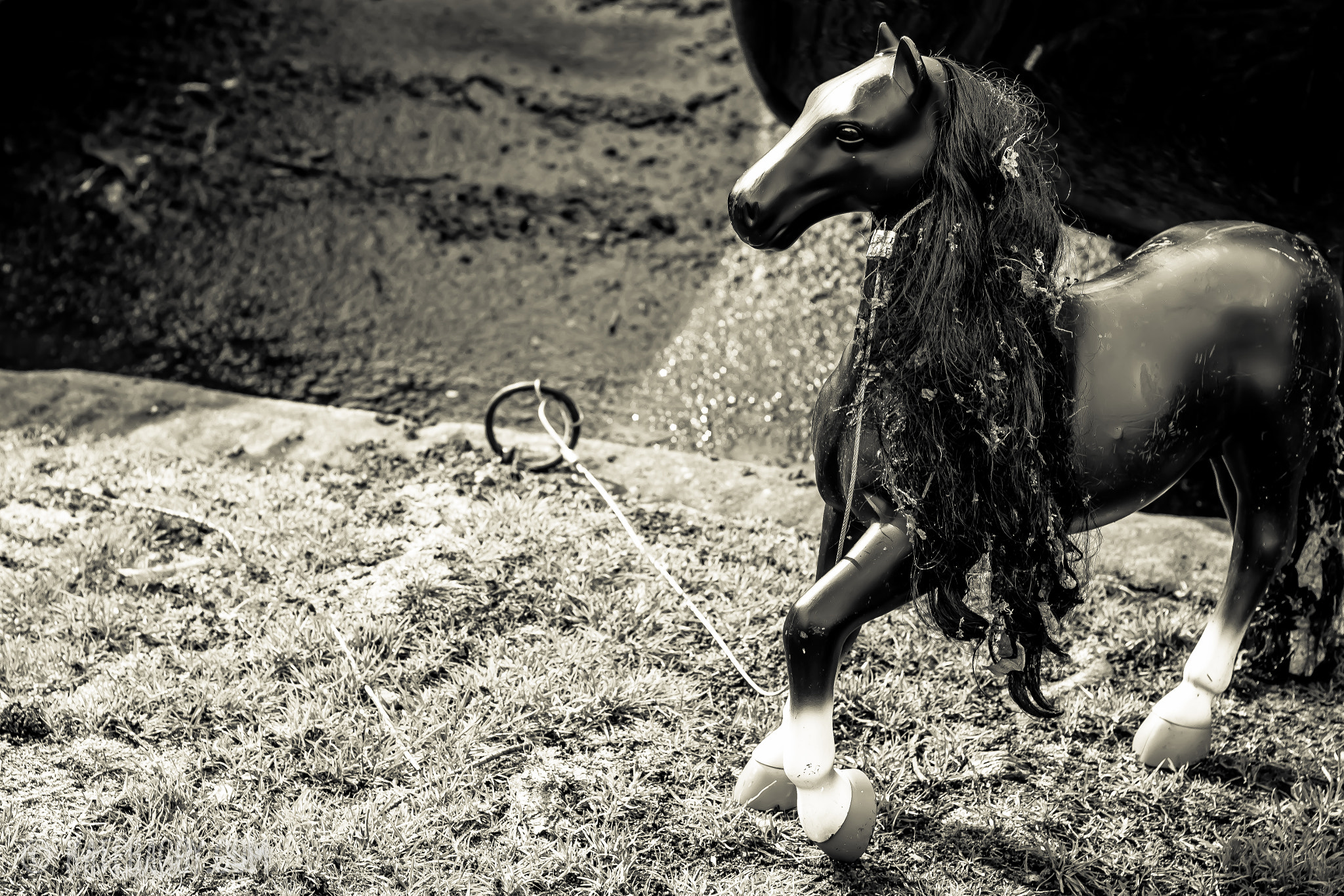 Canon EOS 100D (EOS Rebel SL1 / EOS Kiss X7) + Canon EF 50mm F1.8 II sample photo. My little pony photography