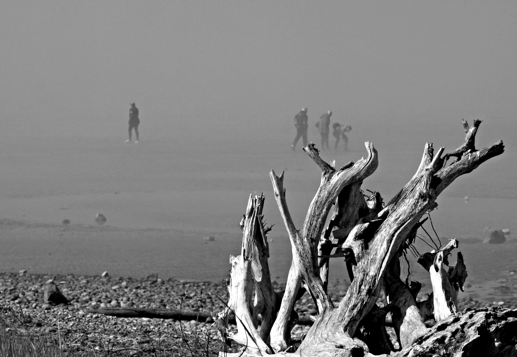 Canon EOS 50D + Tamron AF 70-300mm F4-5.6 Di LD Macro sample photo. Misty beach photography